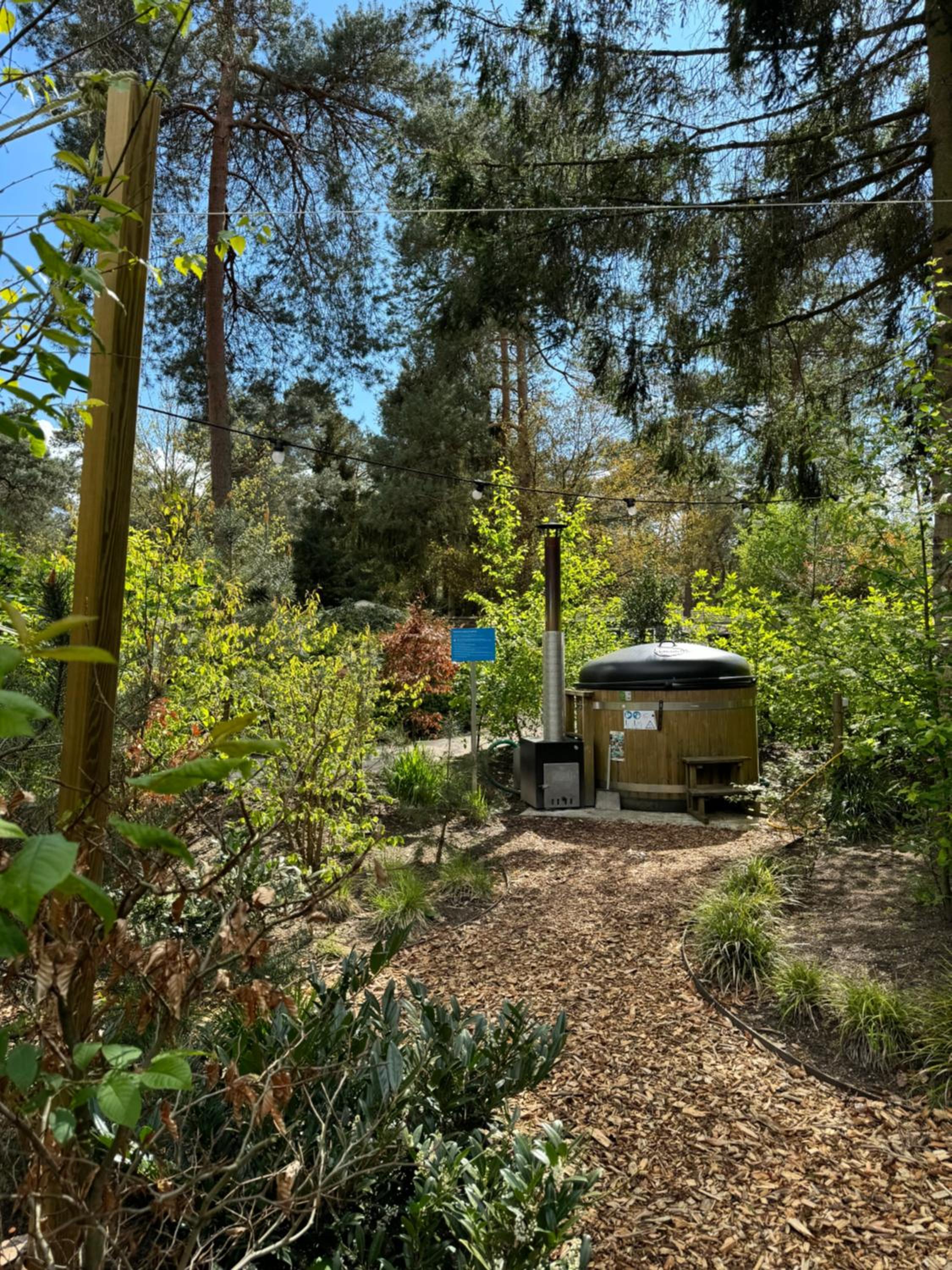 Tiny House op de Veluwe view 2