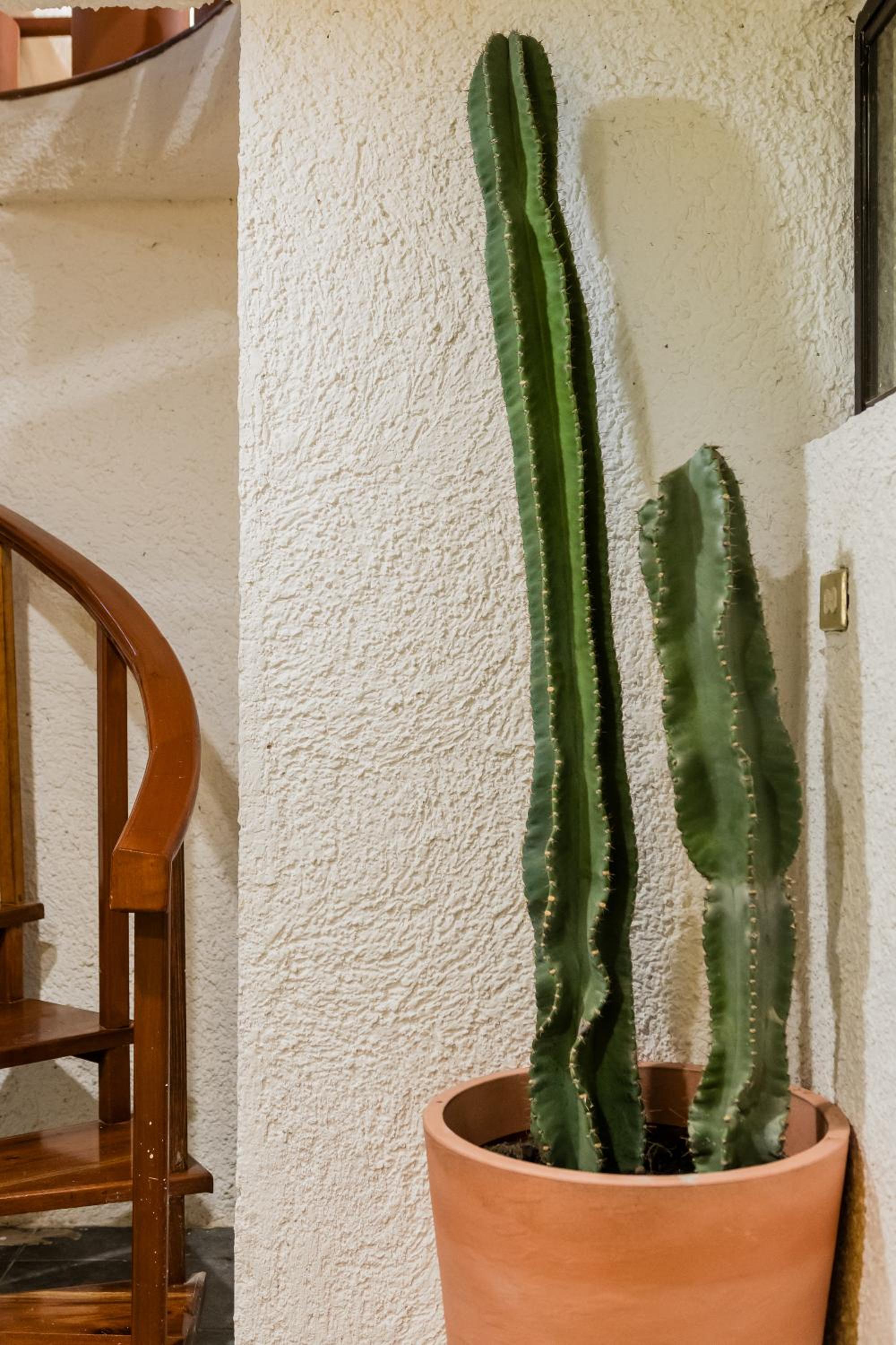 Amazing Villas at Las Cupulas