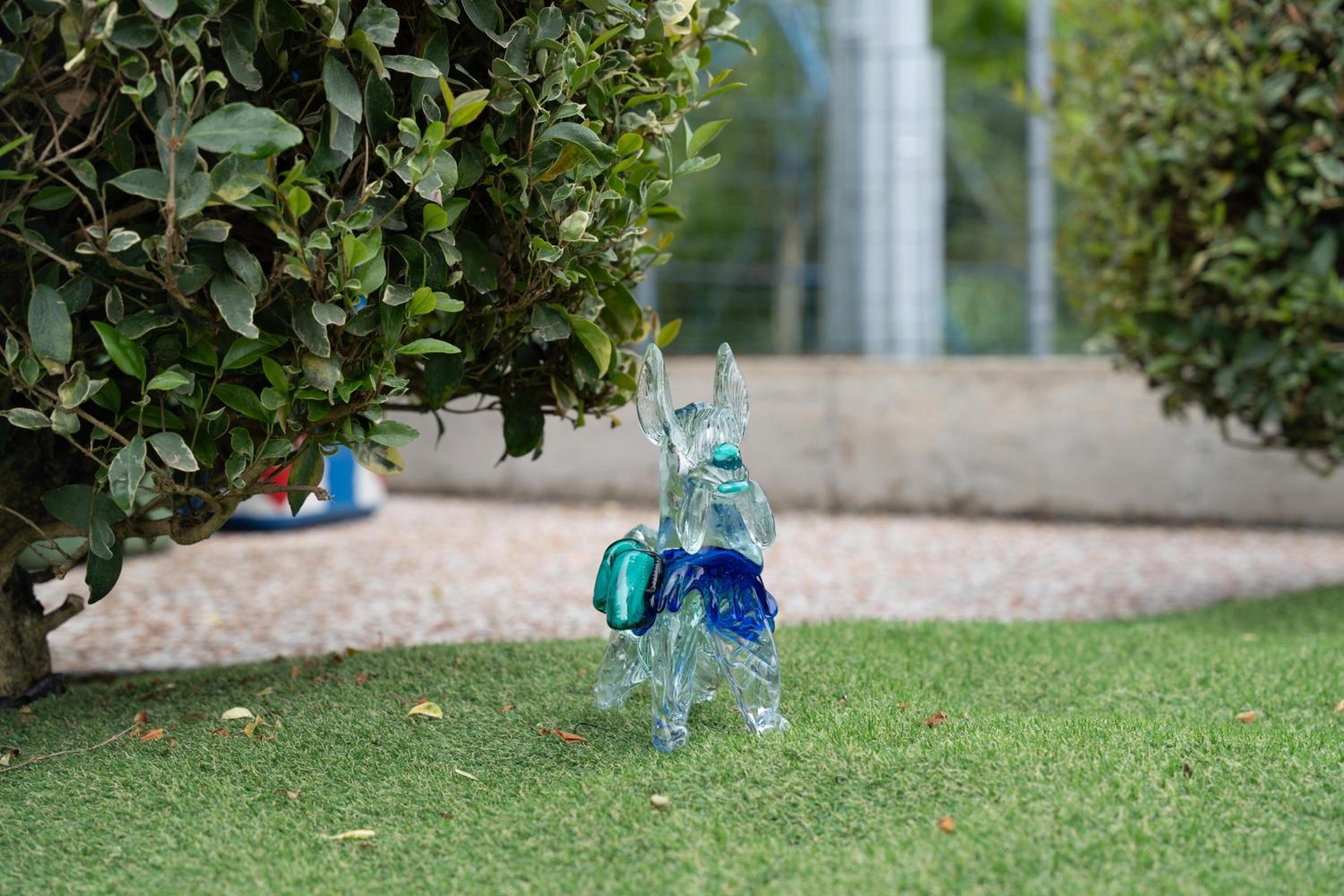 Marina's Venice garden view 2