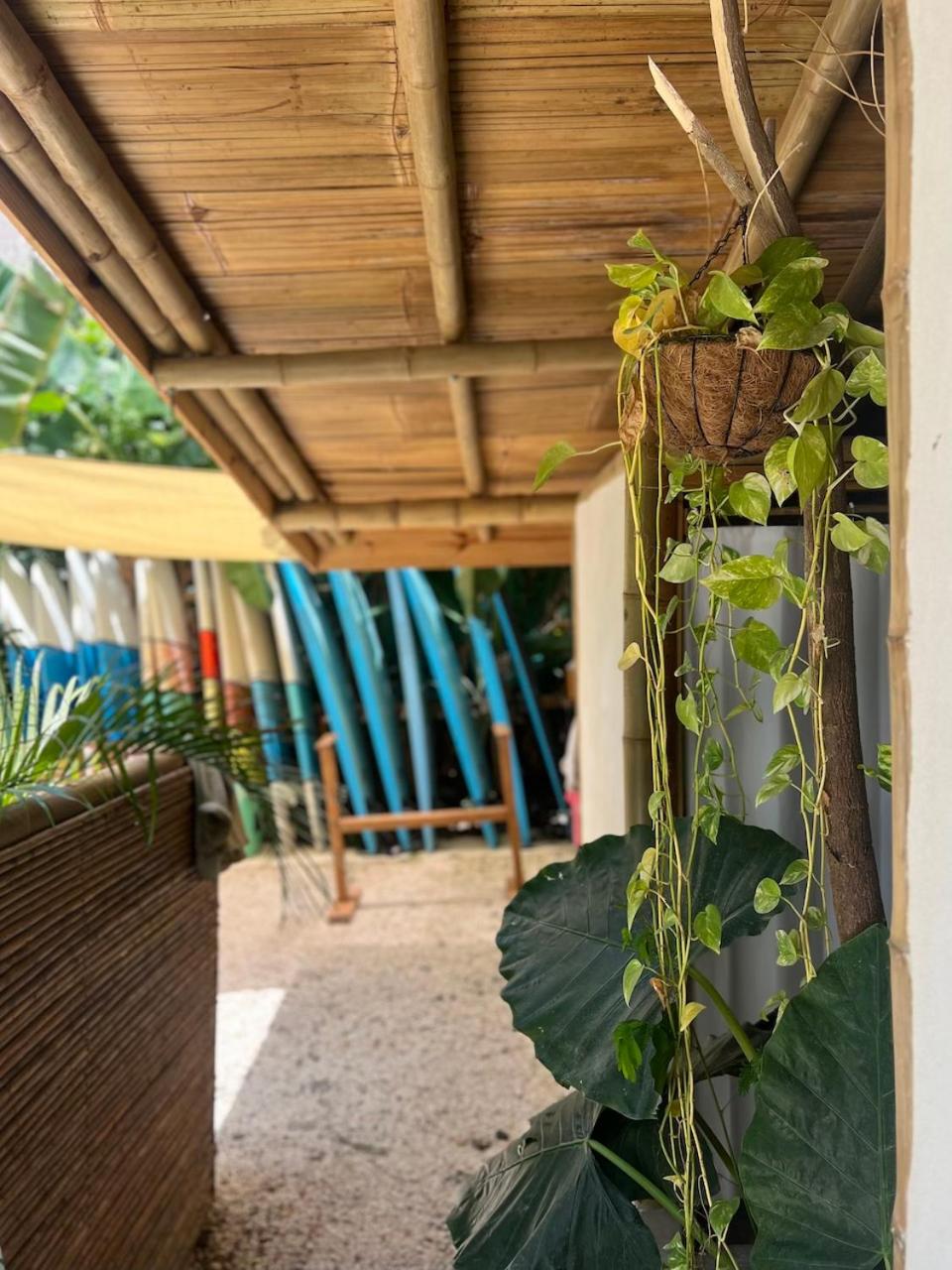 Dream Surf House Santa Teresa (Playa Hermosa)