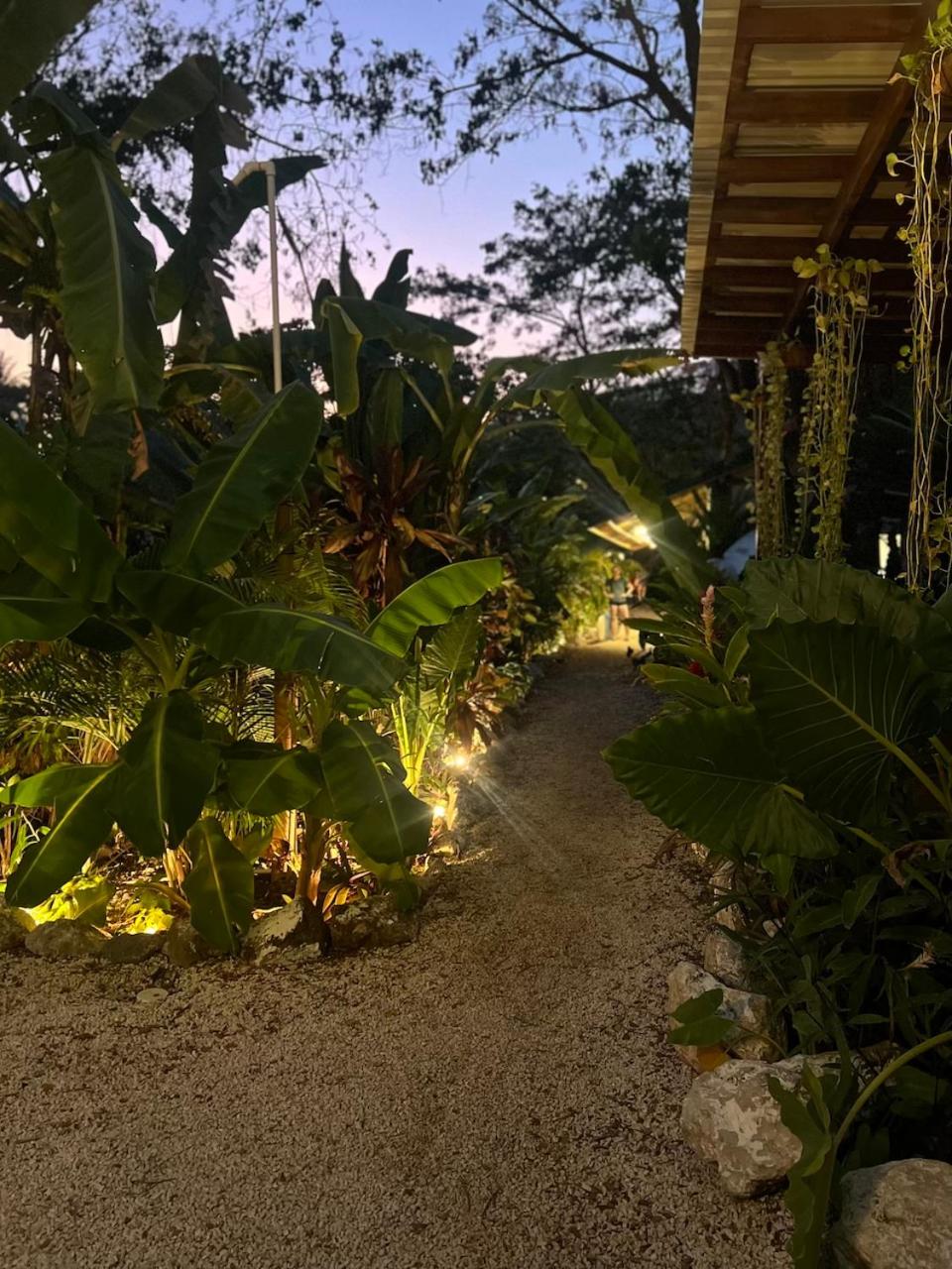 Dream Surf House Santa Teresa (Playa Hermosa)