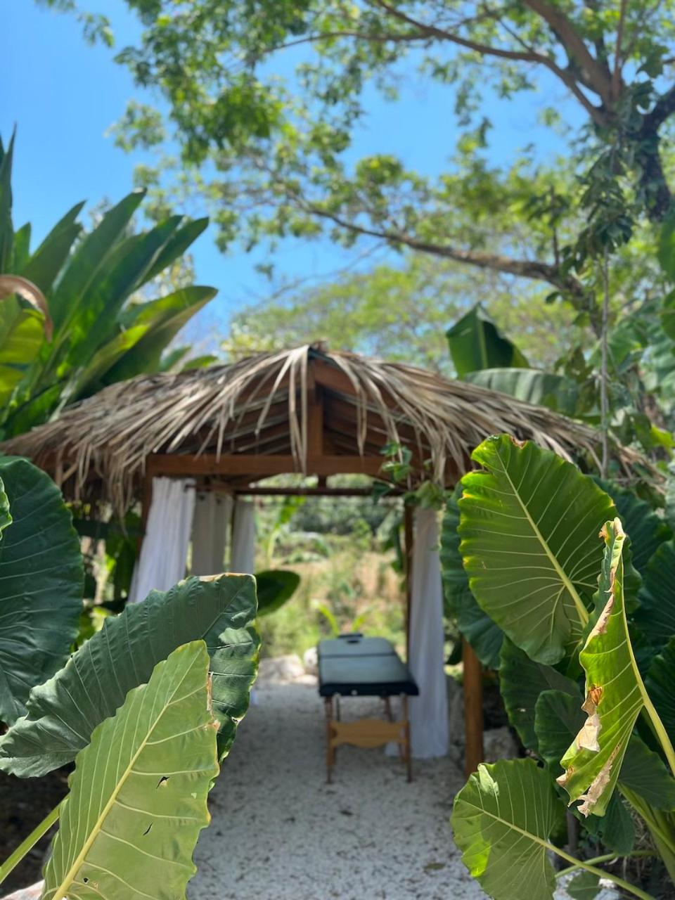Dream Surf House Santa Teresa (Playa Hermosa)