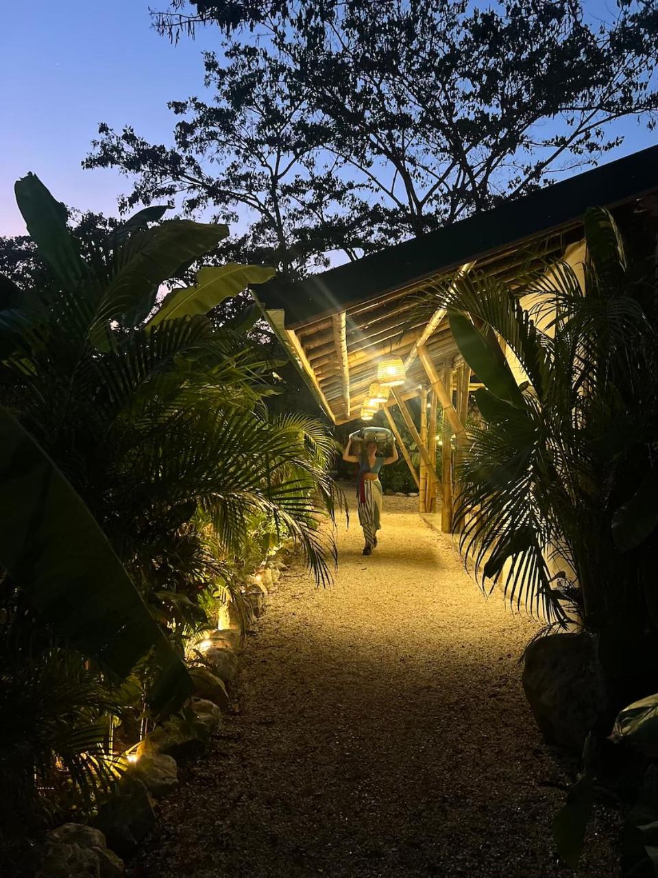 Dream Surf House Santa Teresa (Playa Hermosa)
