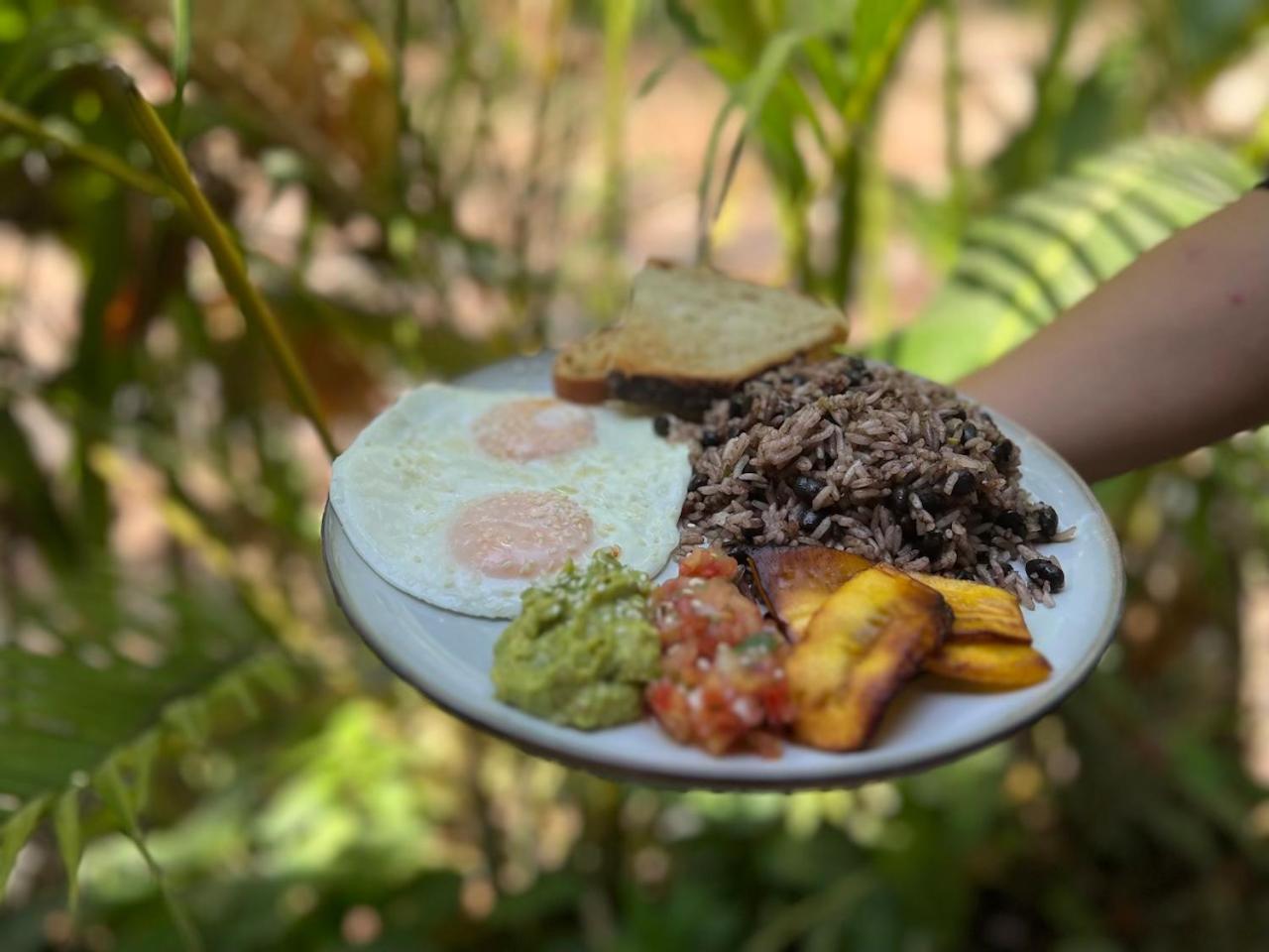 Dream Surf House Santa Teresa (Playa Hermosa)