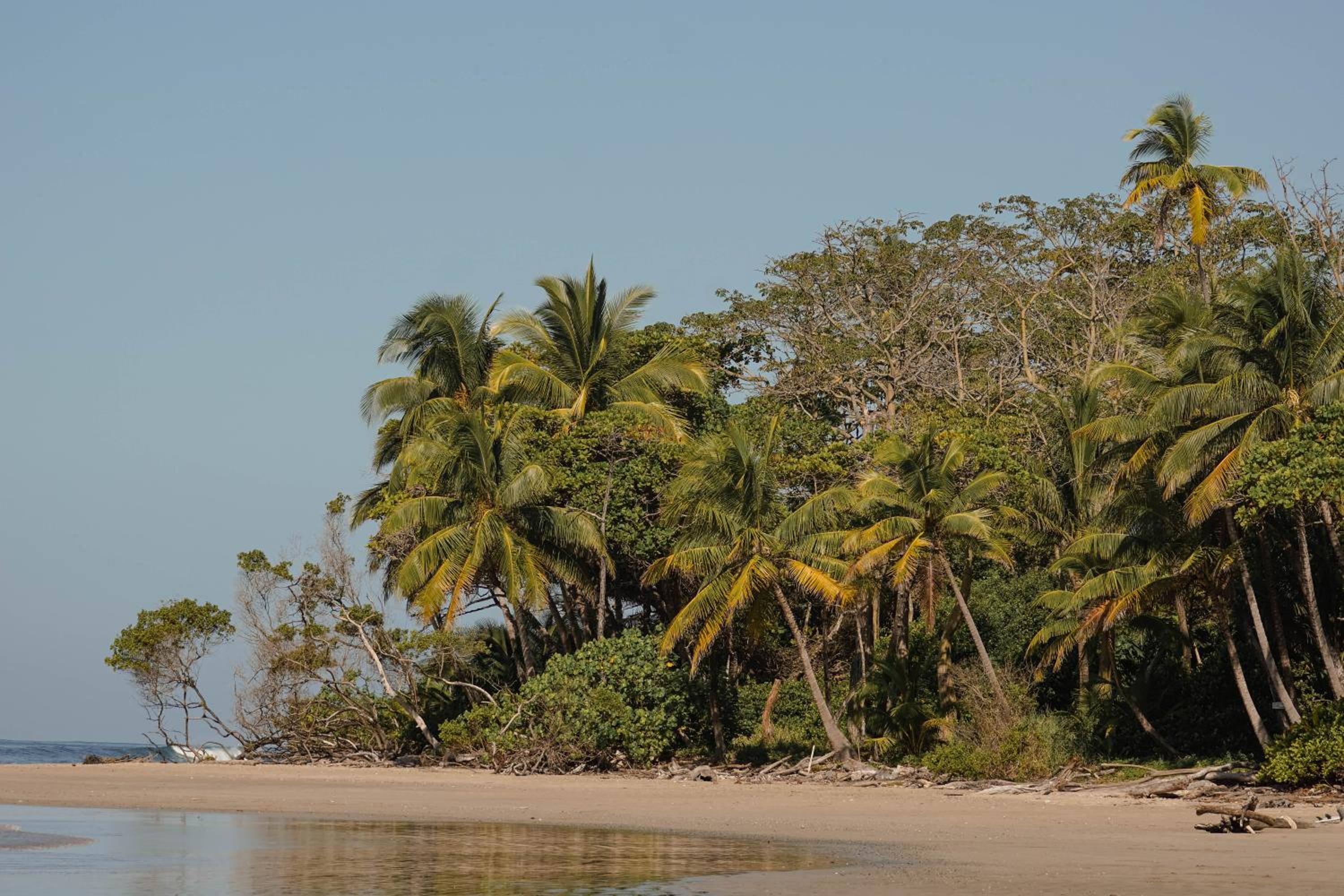 Dream Surf House Santa Teresa (Playa Hermosa)
