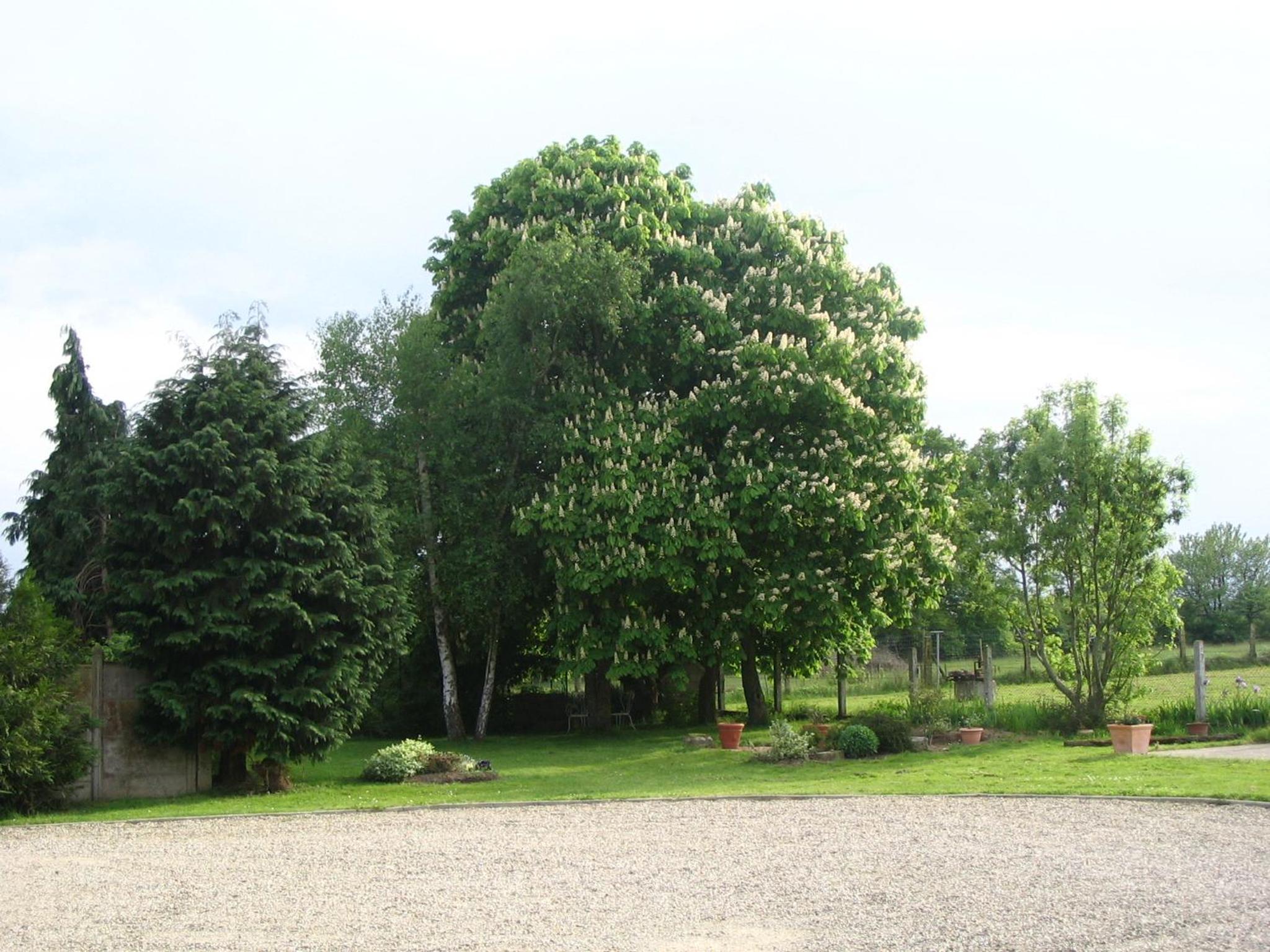 Photo 36