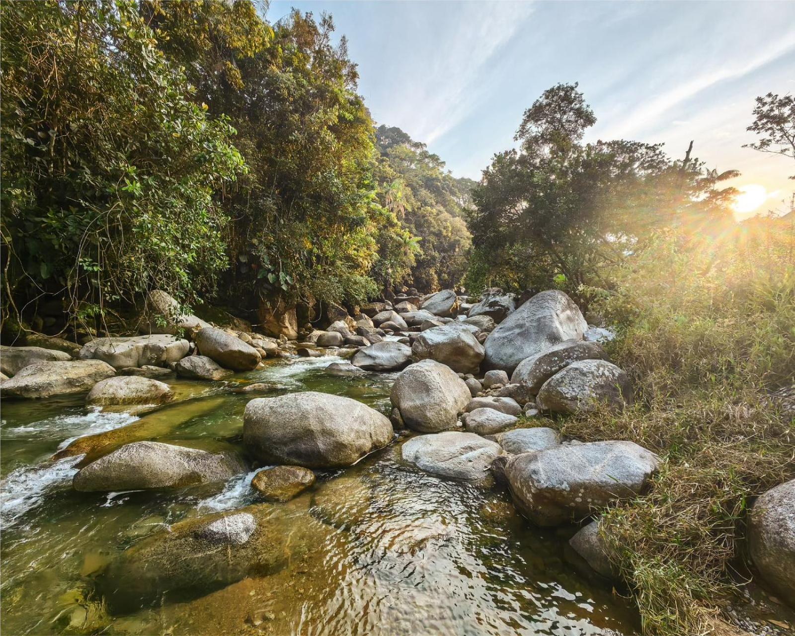 Eco Hotel Samaria , Aguas y Bosques