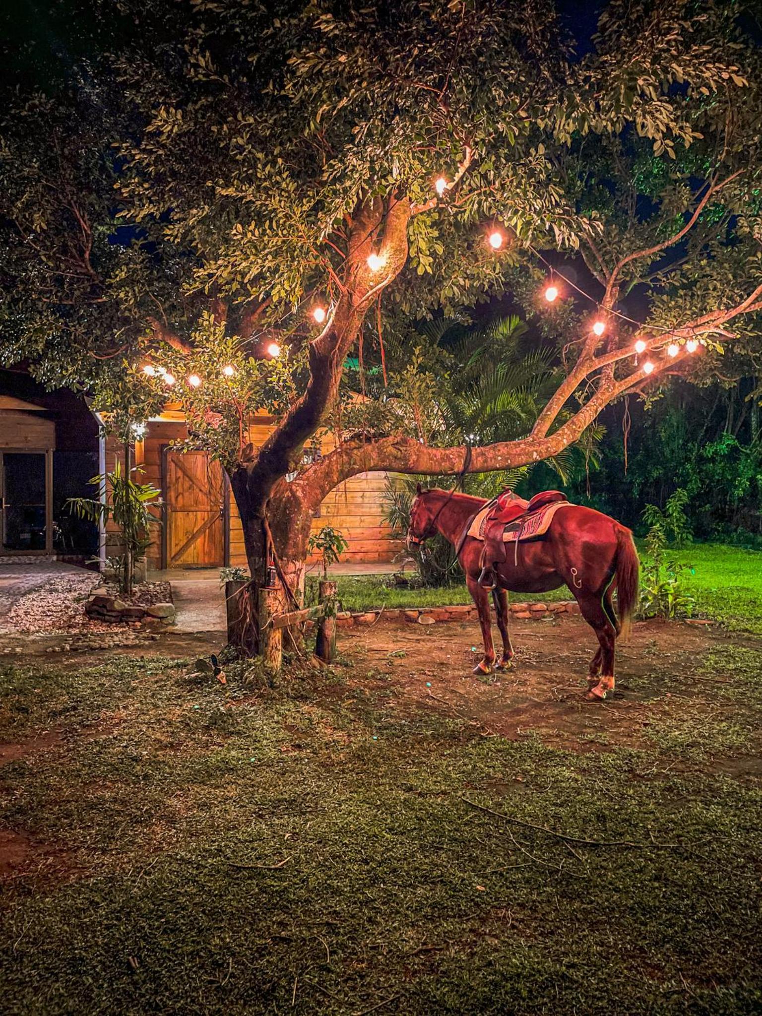 Tierra Buena Countryside Hotel