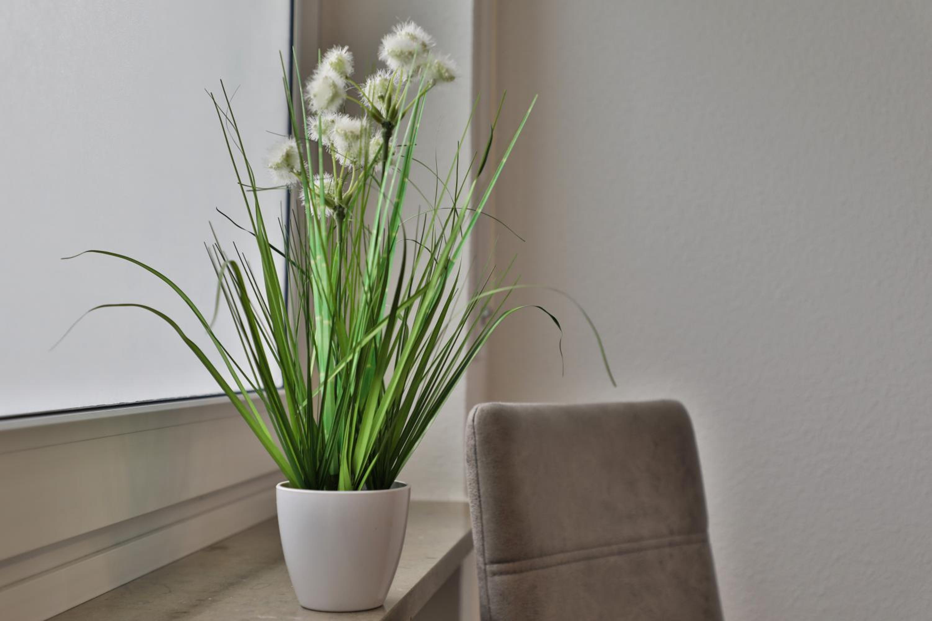 Moderne Ferienwohnungen - Service wie im Hotel