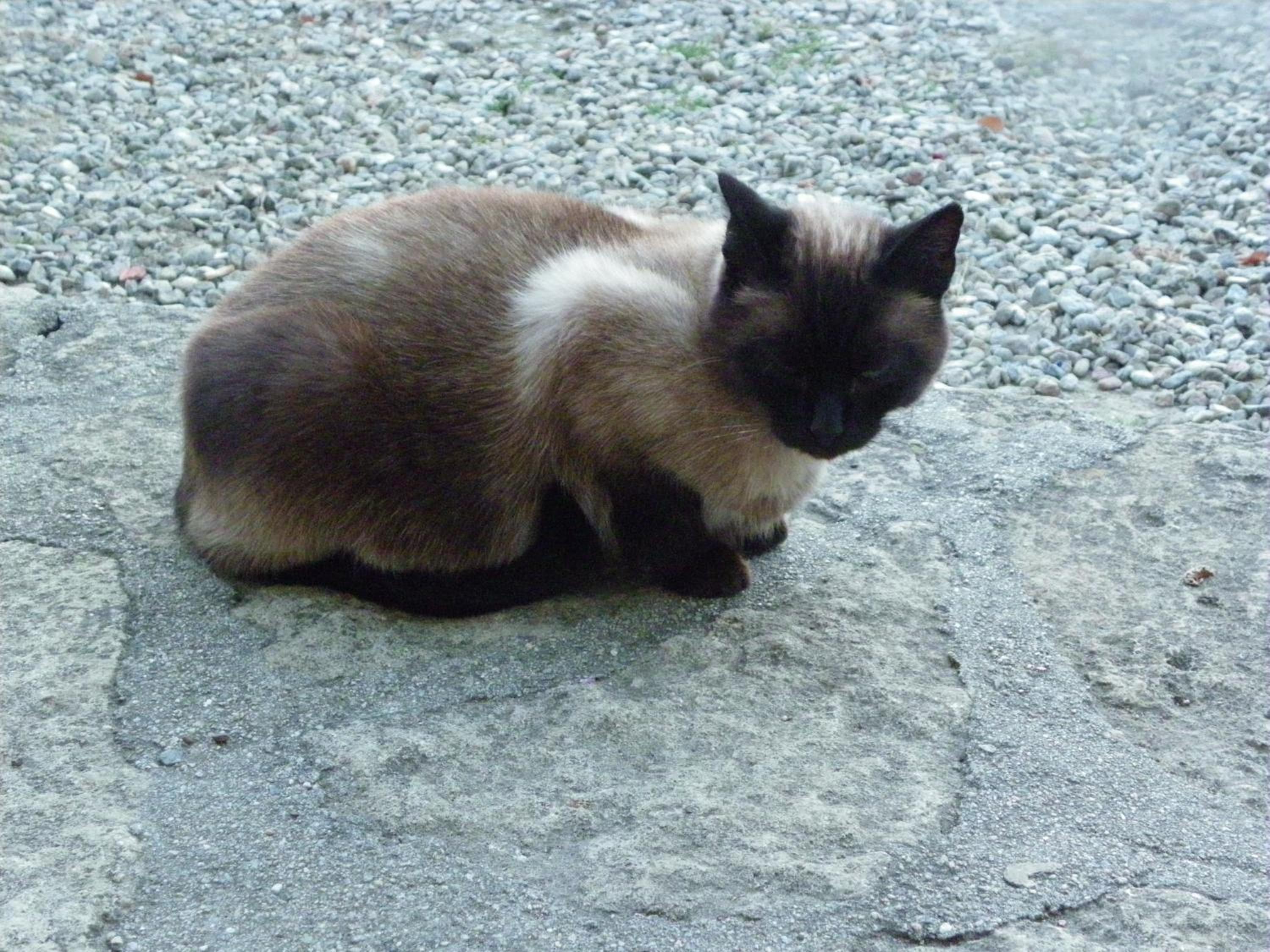 Photo 35