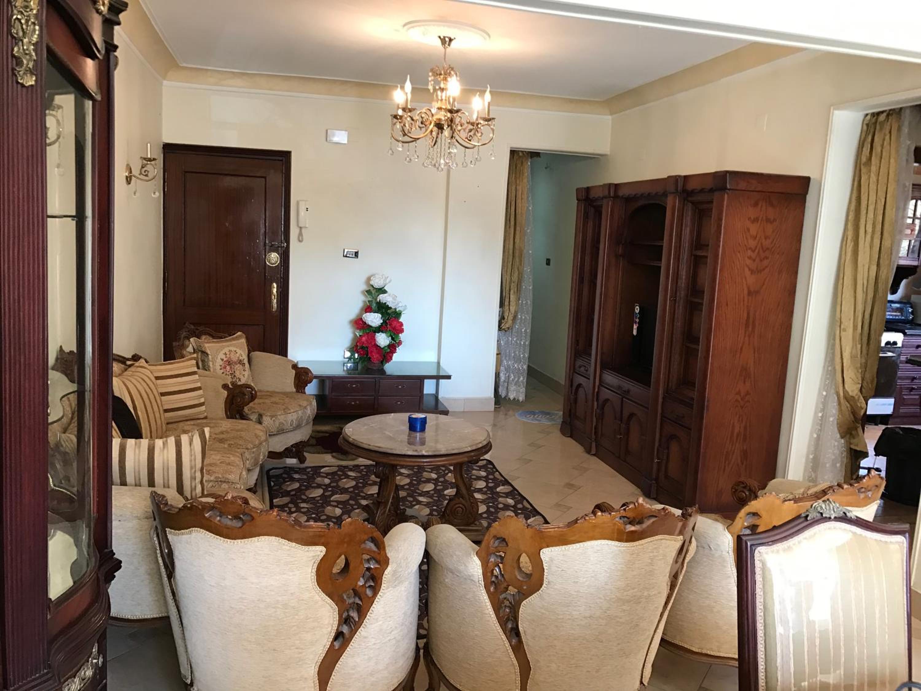 Amazing Maadi Apartment ( Spa & fitness )