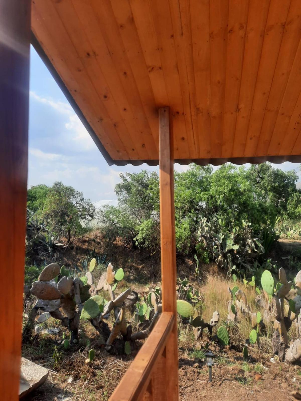 Glamping Entre Nopales - Naturaleza y descanso cerca a Villa de Leyva, mascotas bienvenidas