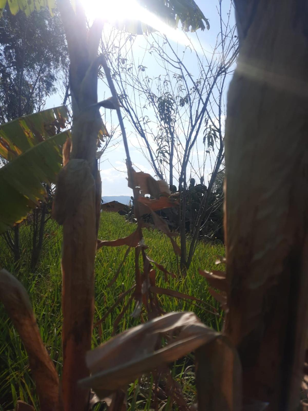 Glamping Entre Nopales - Naturaleza y descanso cerca a Villa de Leyva, mascotas bienvenidas
