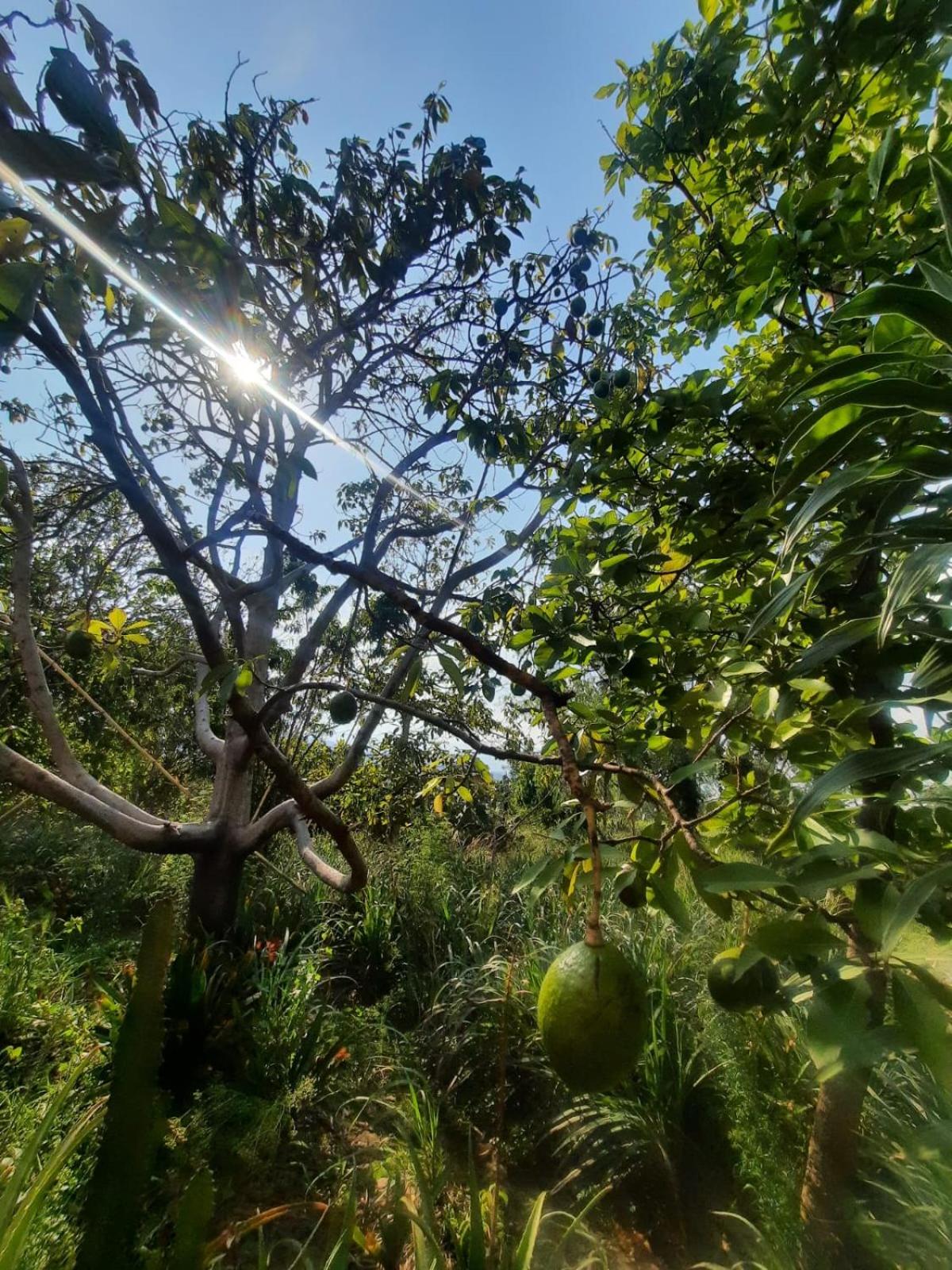 Glamping Entre Nopales - Naturaleza y descanso cerca a Villa de Leyva, mascotas bienvenidas