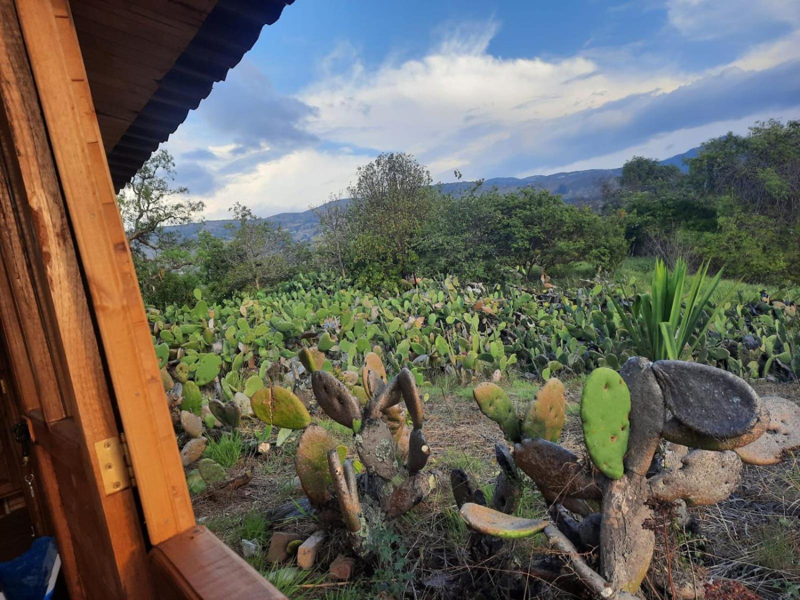 Glamping Entre Nopales - Naturaleza y descanso cerca a Villa de Leyva, mascotas bienvenidas