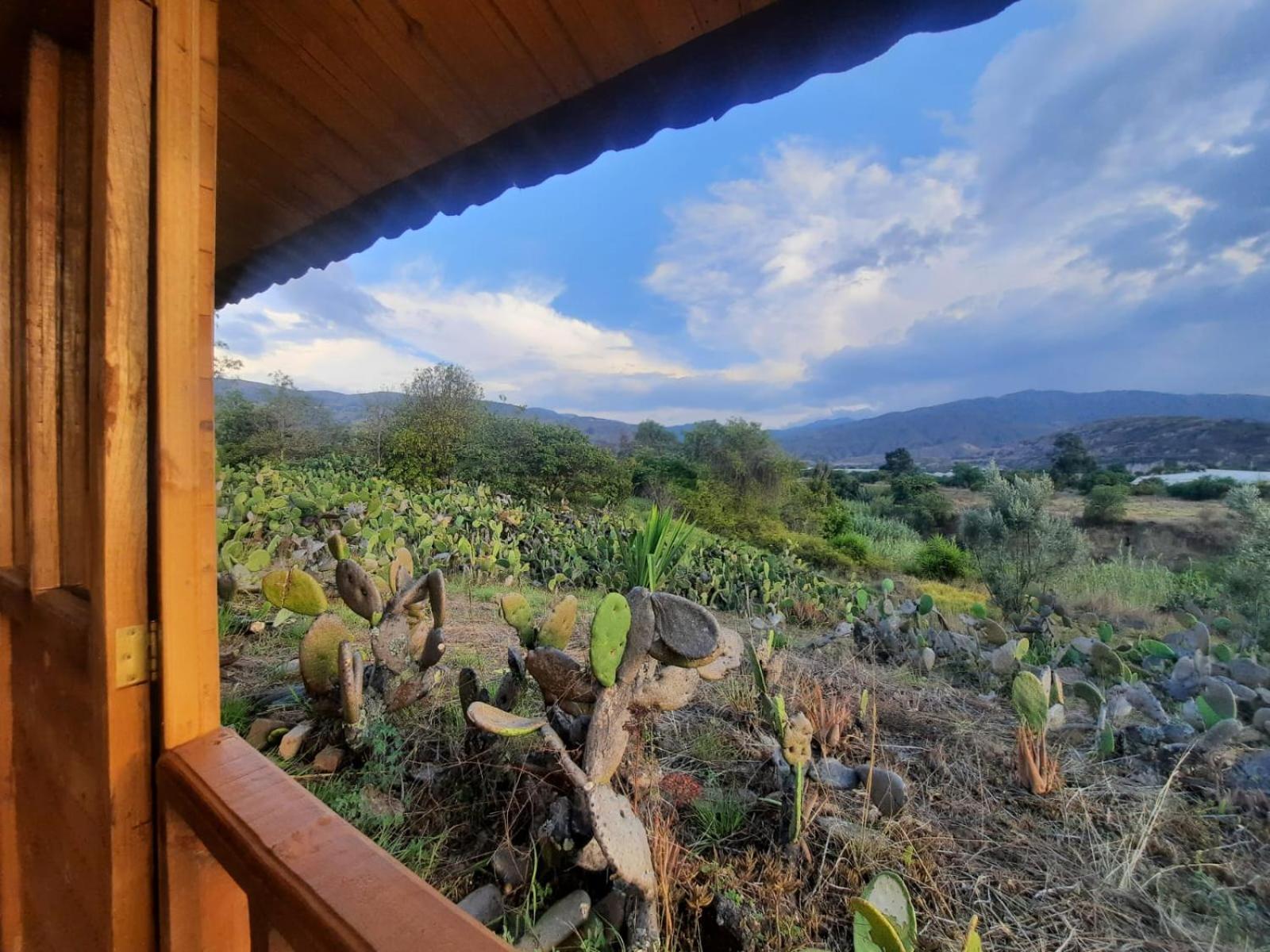 Glamping Entre Nopales - Naturaleza y descanso cerca a Villa de Leyva, mascotas bienvenidas