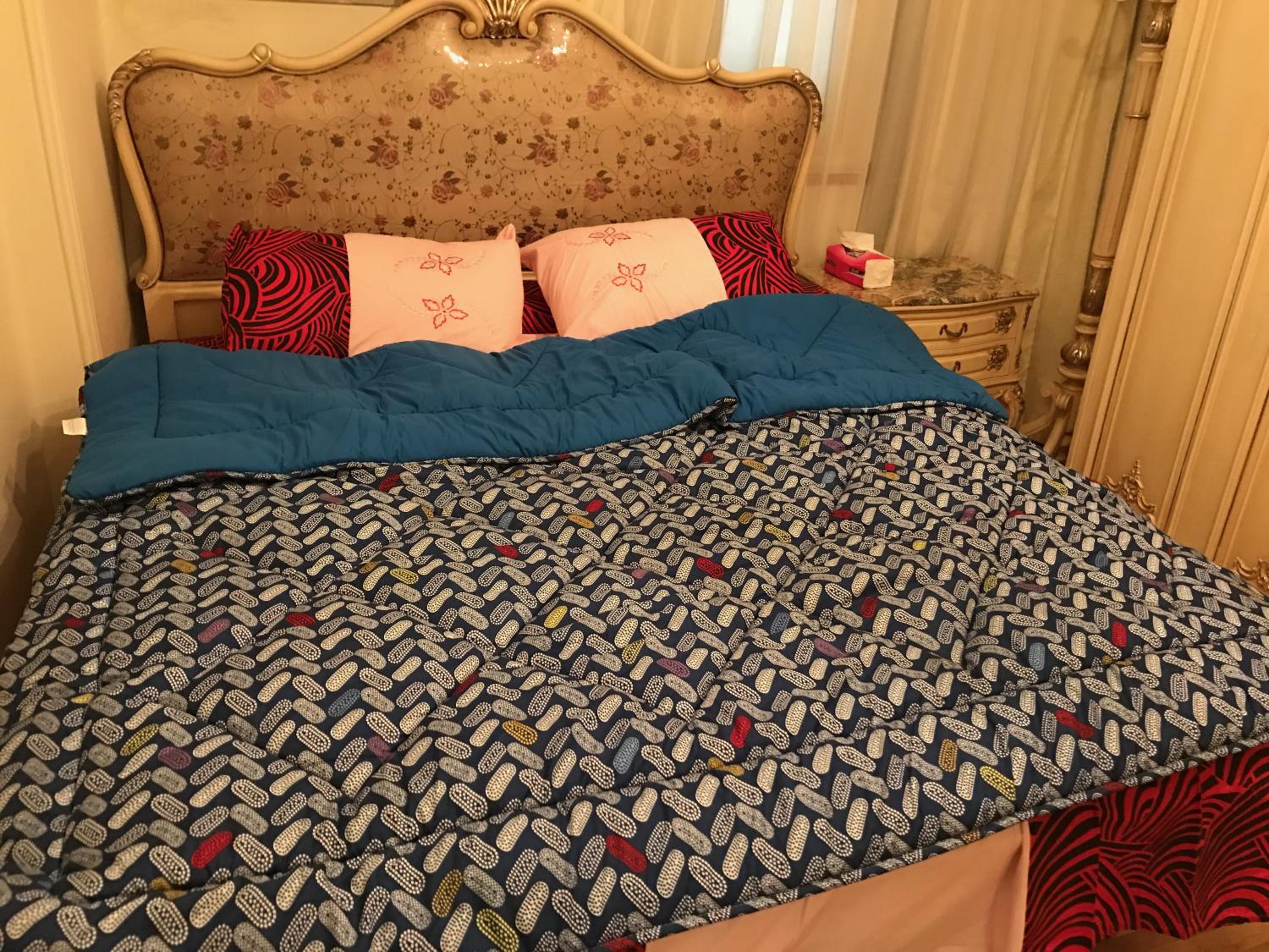 Amazing Maadi Apartment ( Spa & fitness )