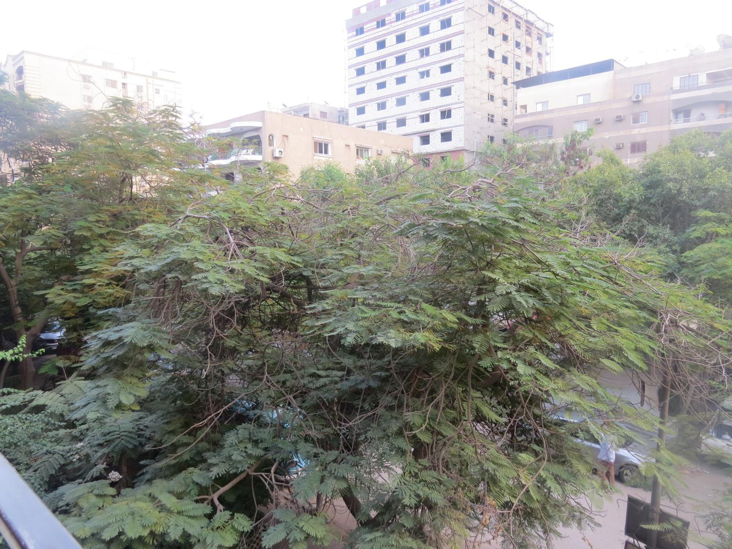 Amazing Maadi Apartment ( Spa & fitness )