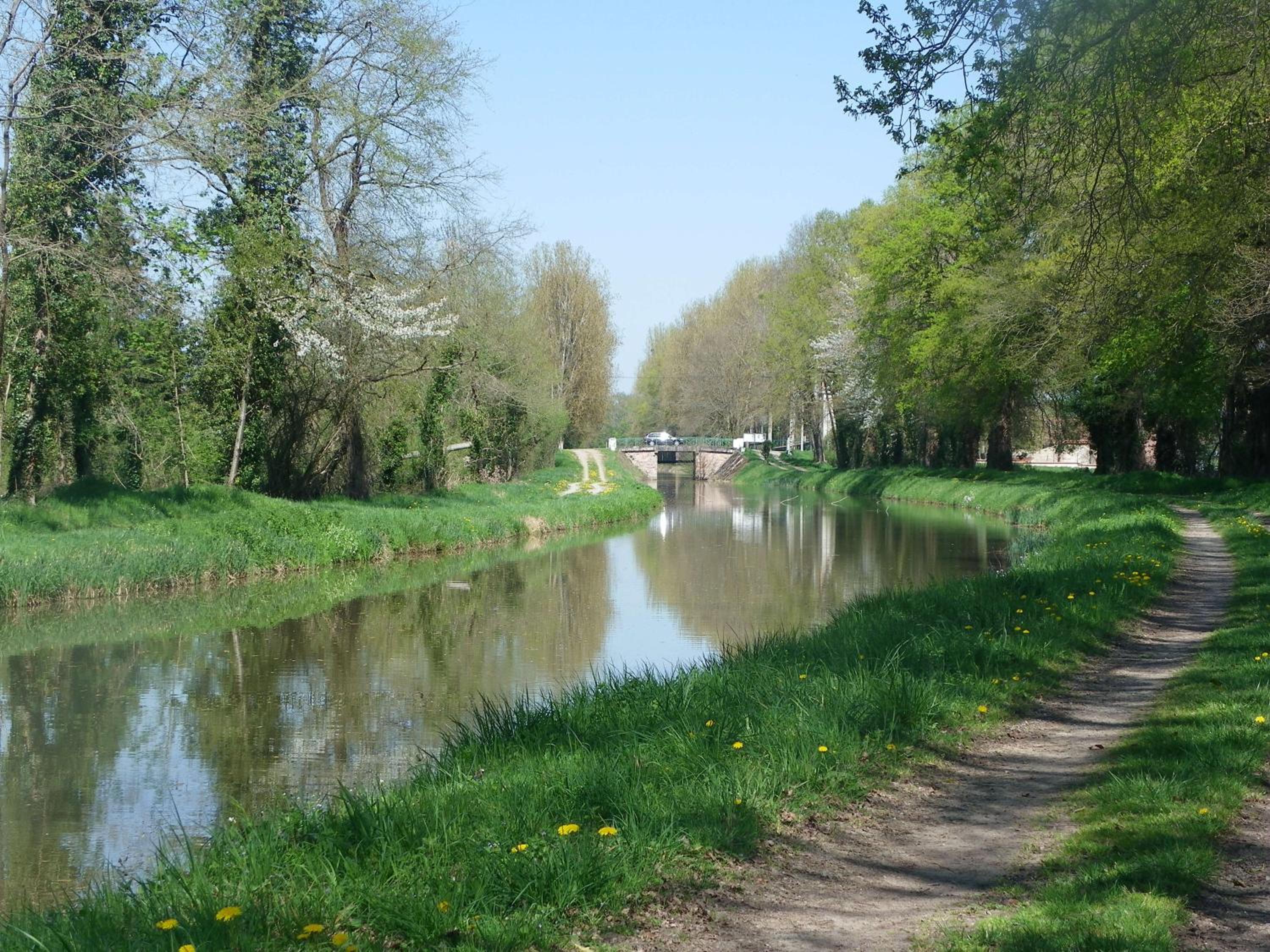 Photo 38
