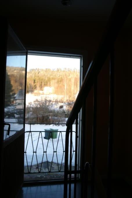 Photo 38