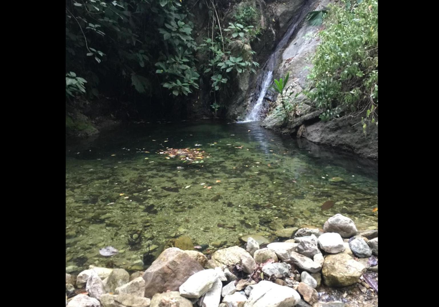 Cinduli Finca Orgánica Cacaotera