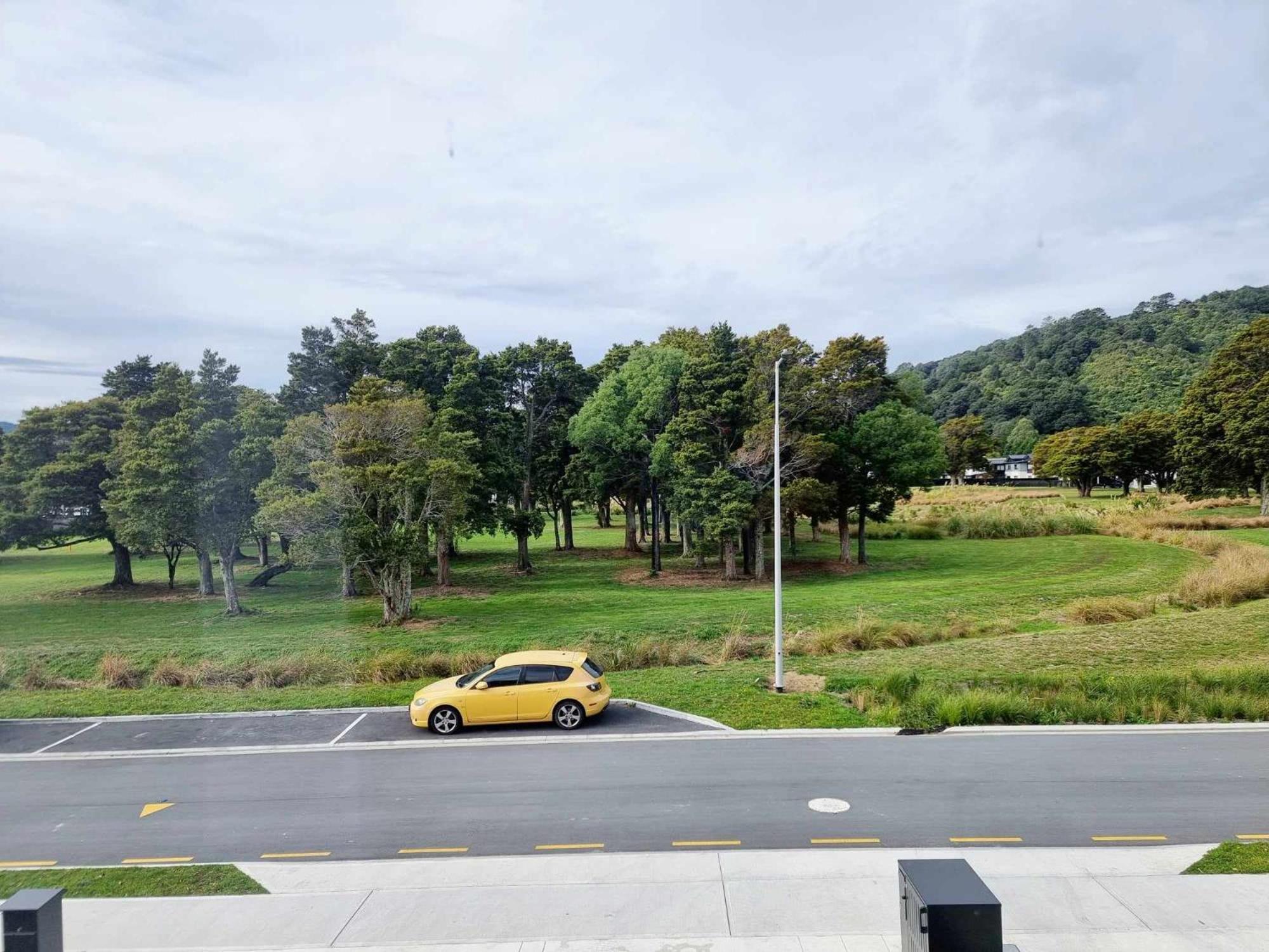 Cosy homestay in Upper Hutt view 4