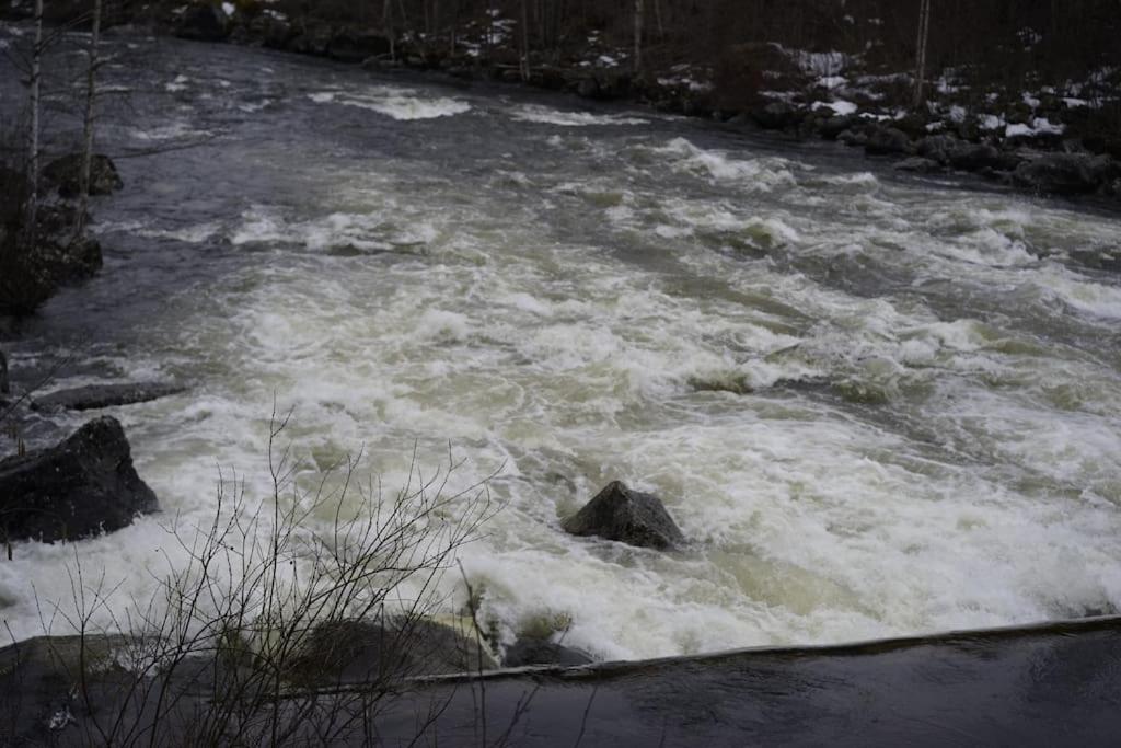 Photo 40