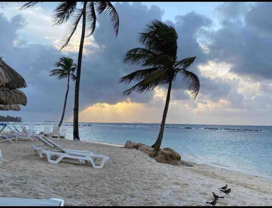 A Hidden Gem in the Caribbean Paradise