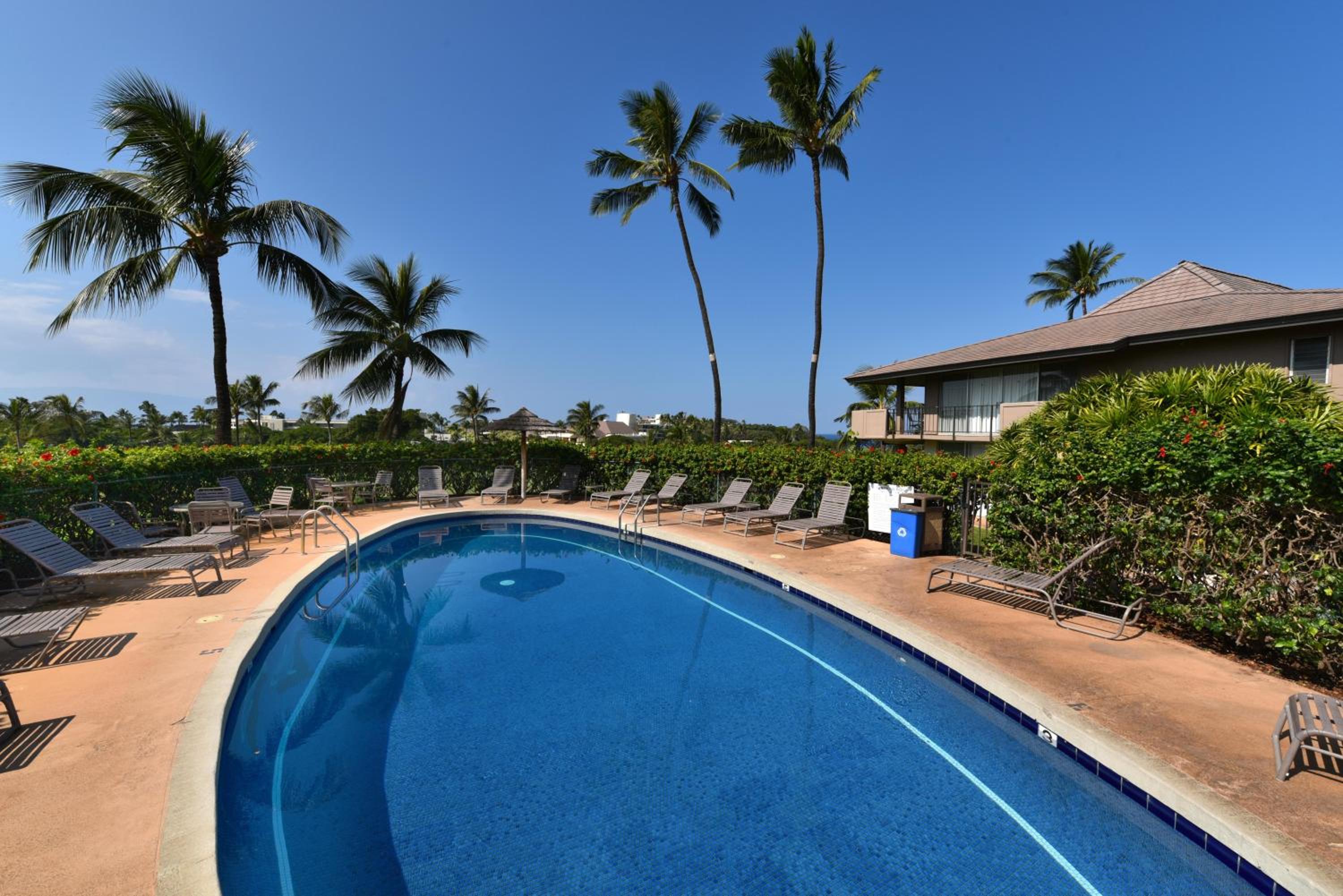 Eldorado A203 · EL A203 Spacious 1BD on Kaanapali Golf Course w