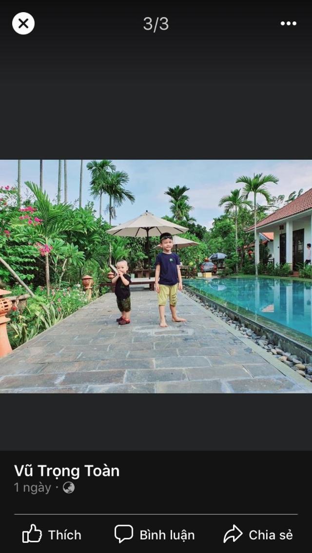 Green Areca villa