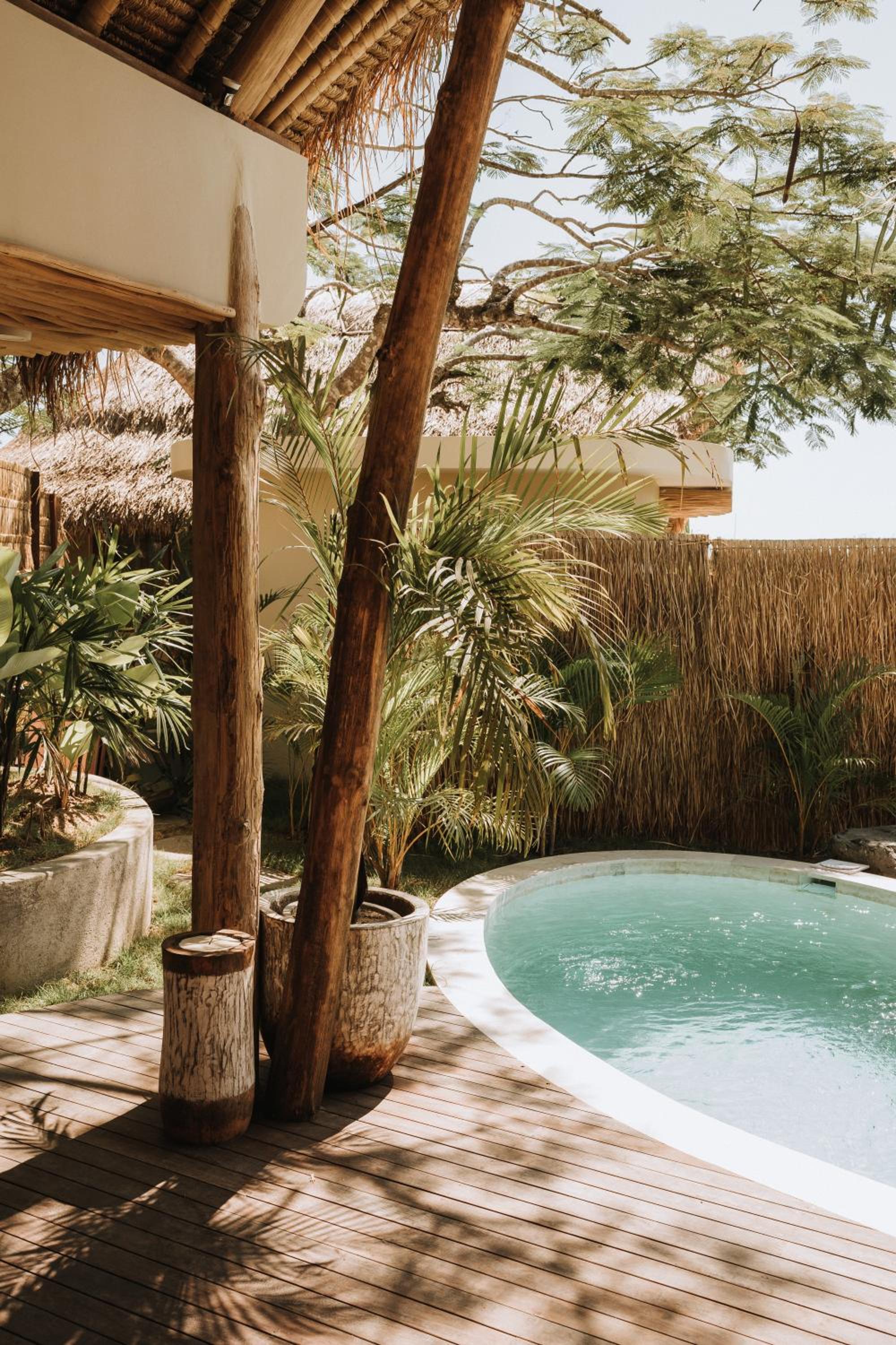 Ecolodge Tropical Moonlight