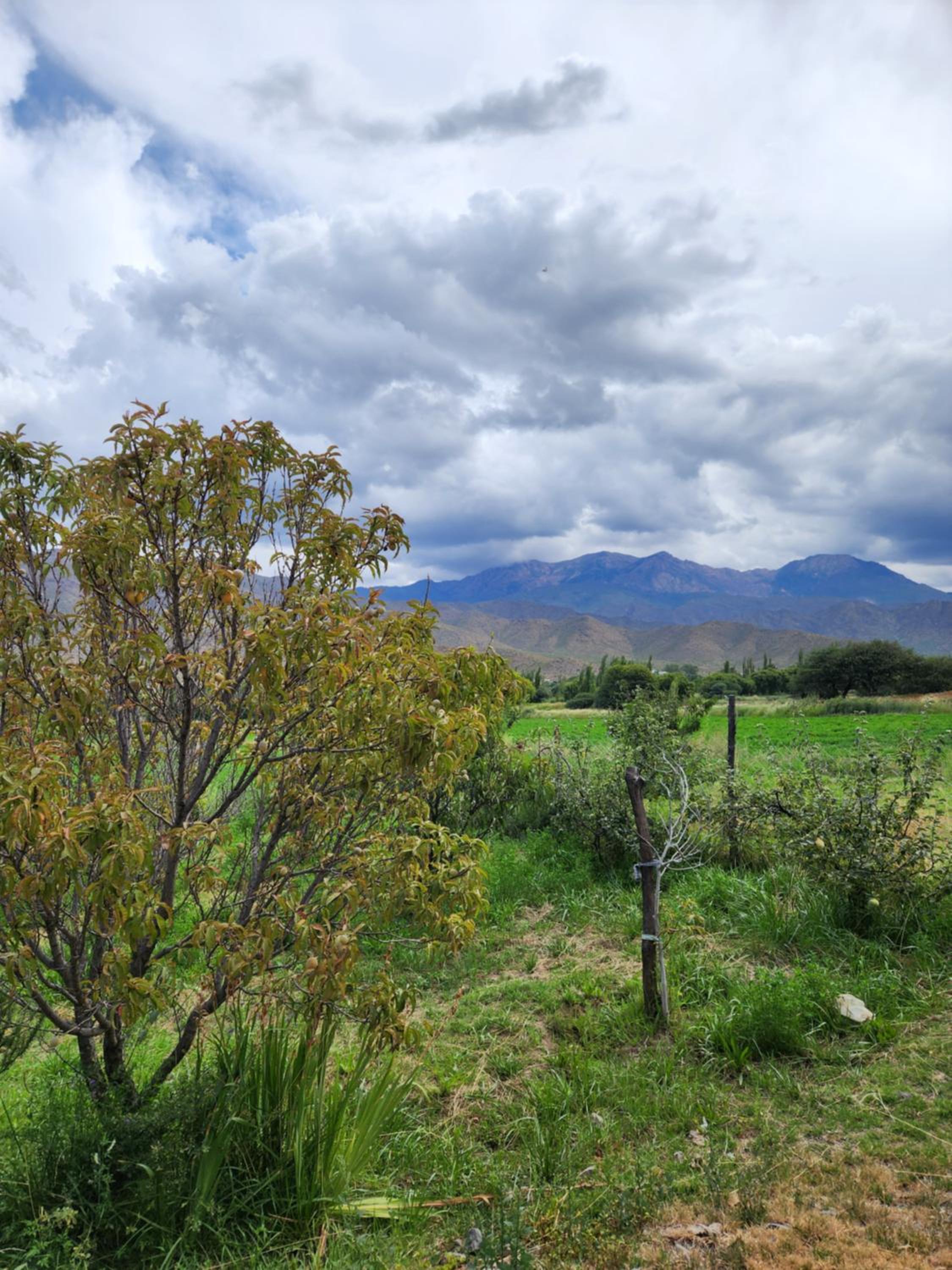 Casa de Haydee
