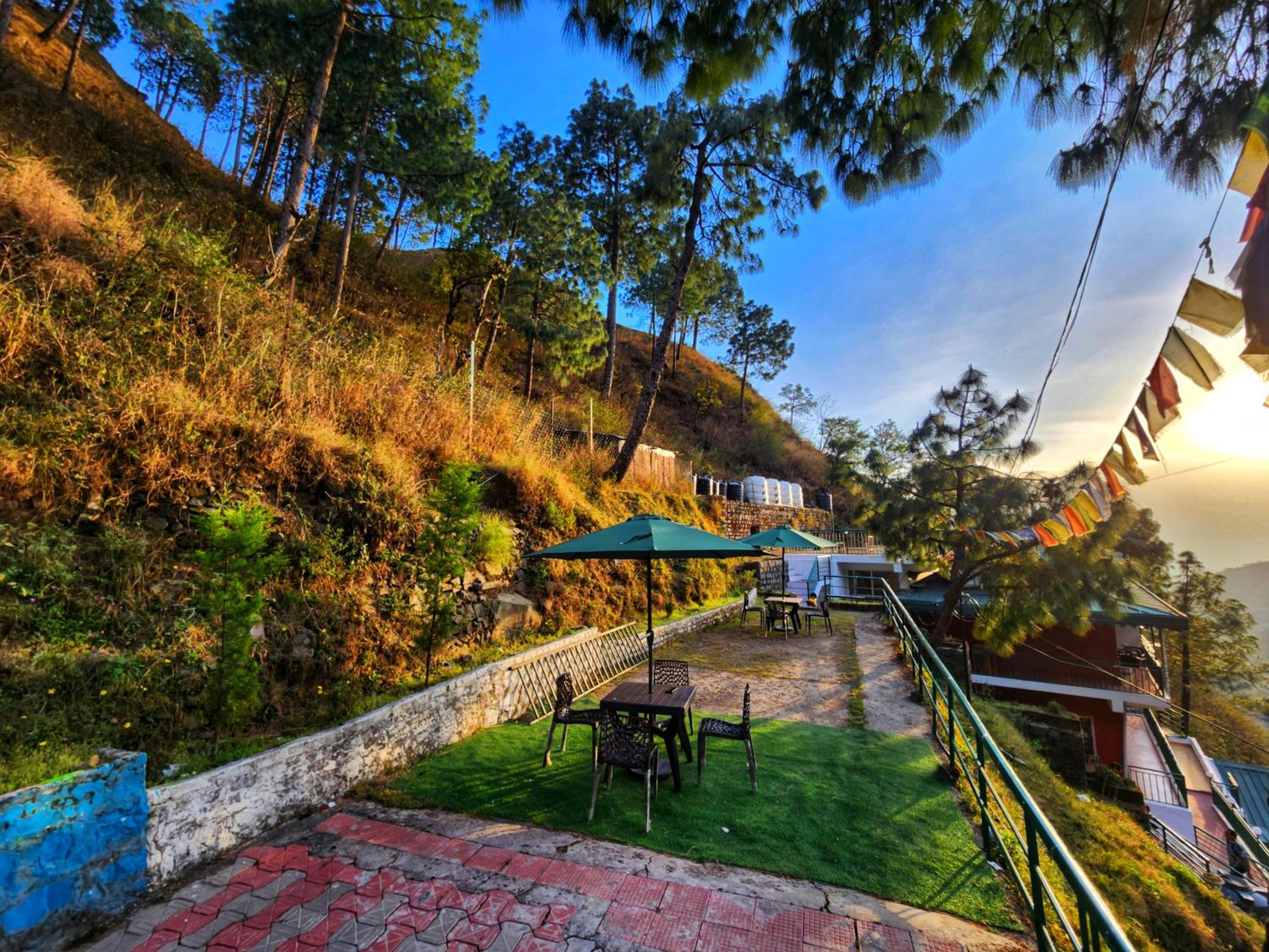 Safarmaina Homestay Kasauli view 4