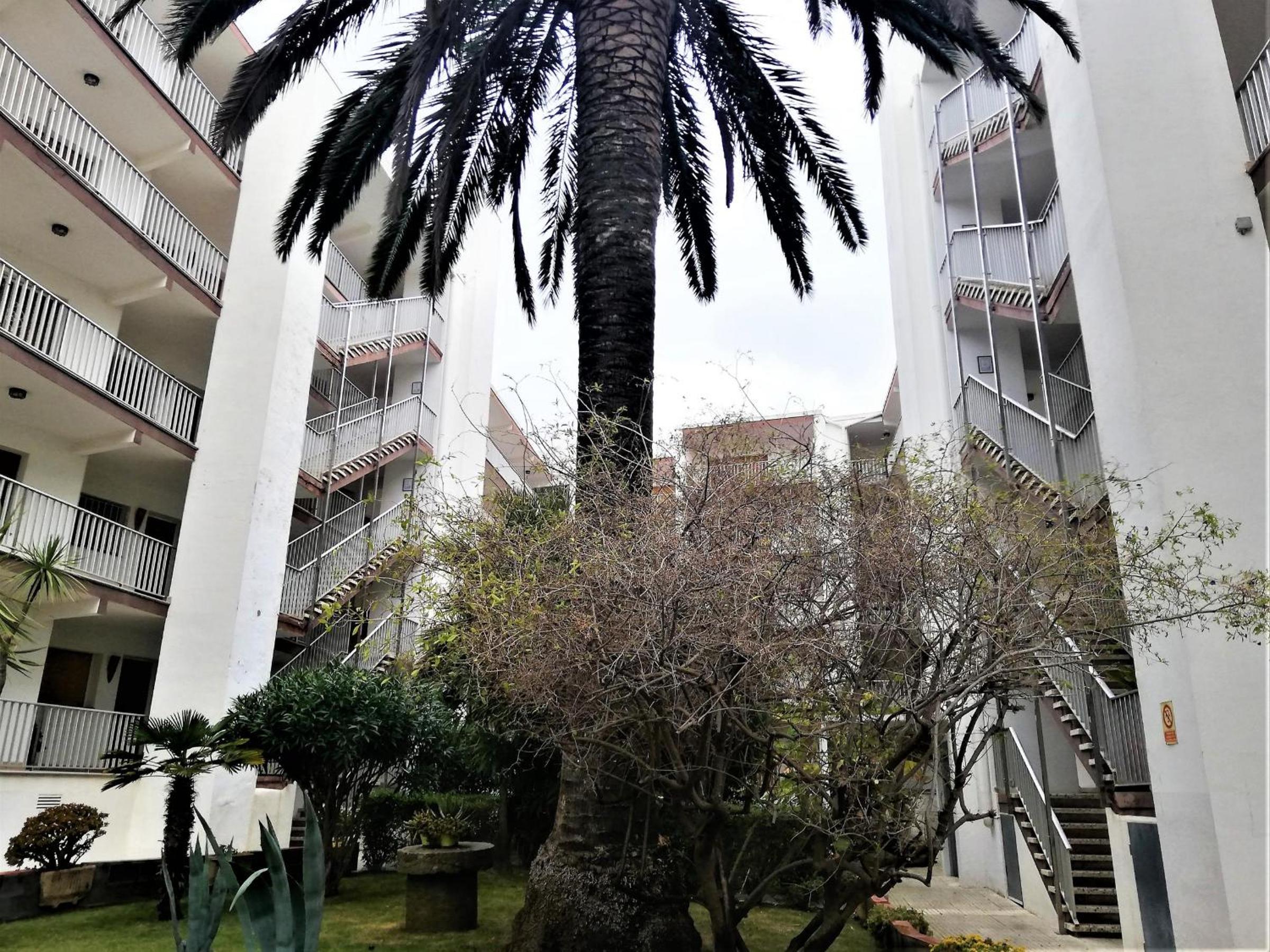 Apartamento en Segunda Línea de Playa con Terraza, WIFI y Parking en Santa Margarita - ES-258-120 view 3