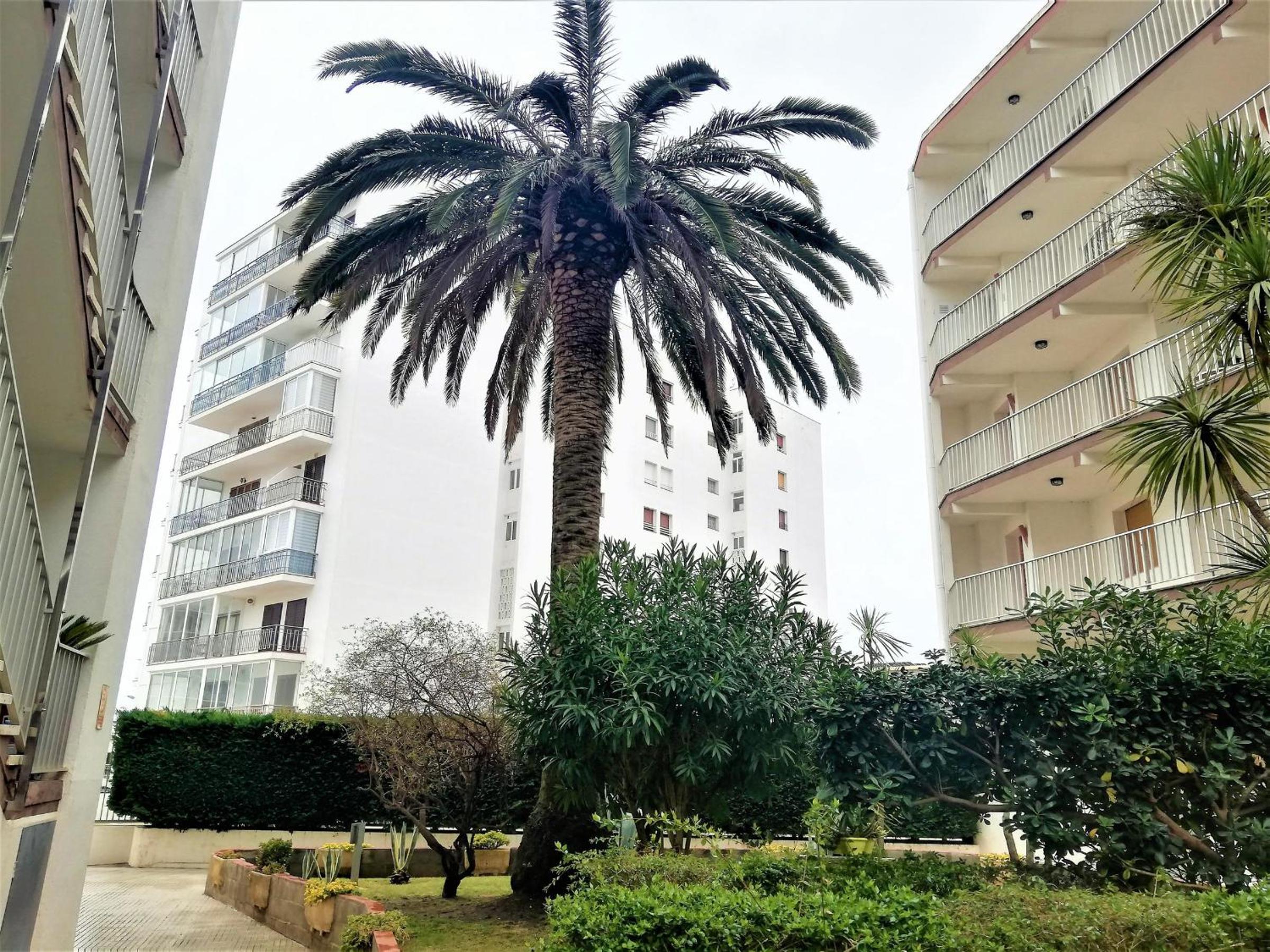 Apartamento en Segunda Línea de Playa con Terraza, WIFI y Parking en Santa Margarita - ES-258-120 view 4