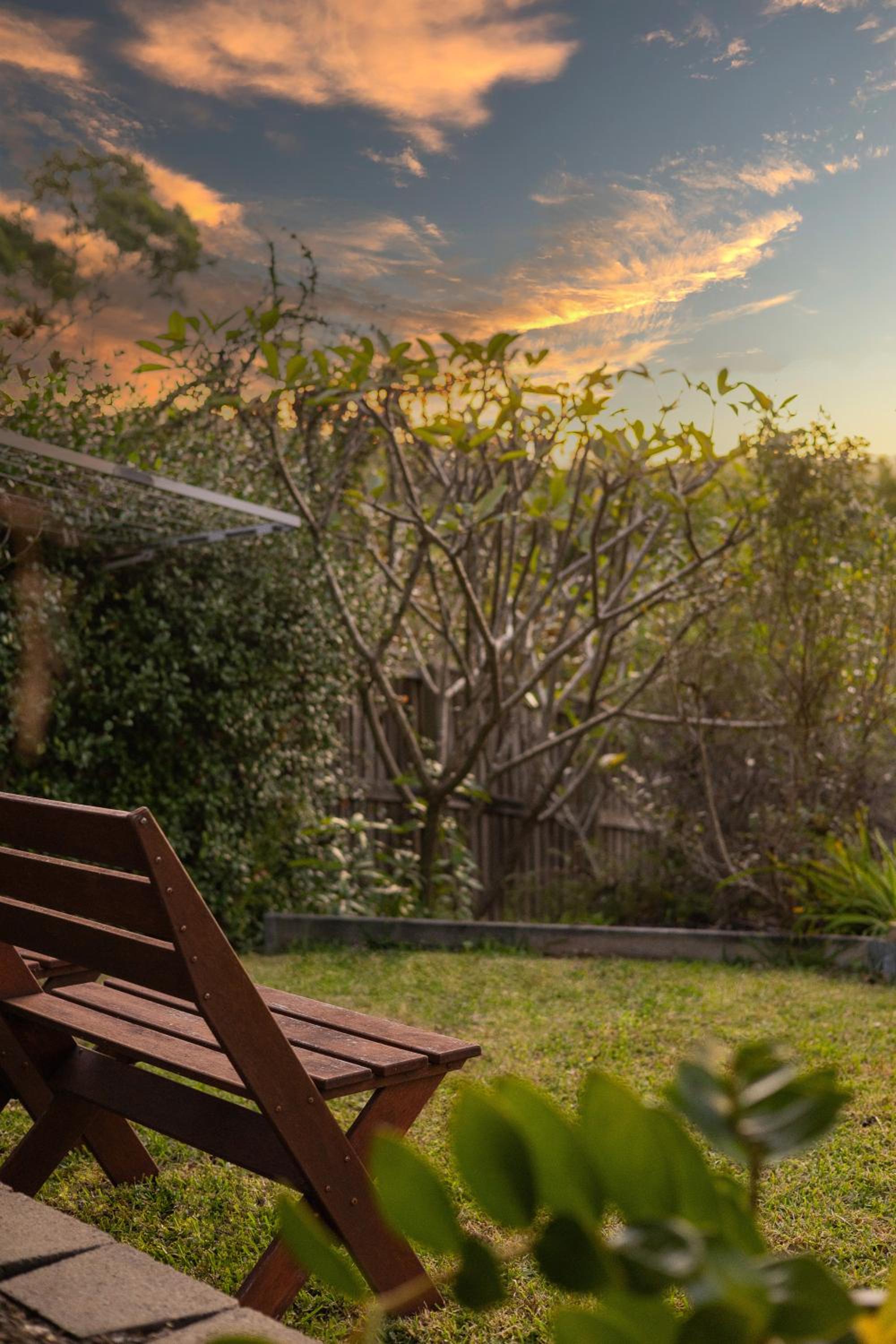 Hinterland Dreamers Poolside Retreat