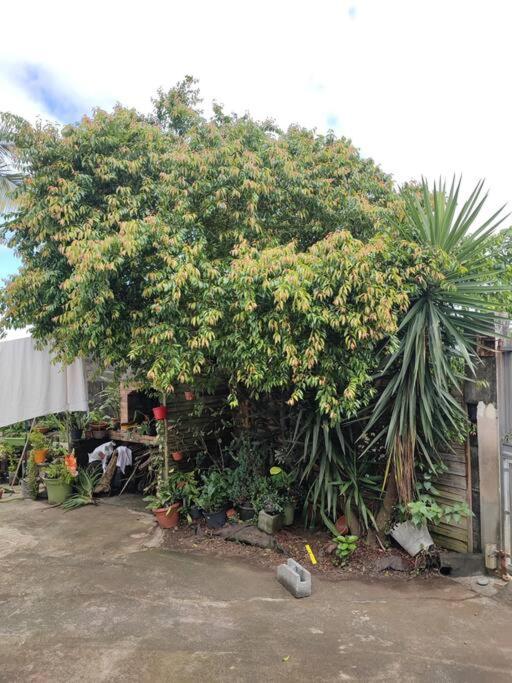 La casa Lynda