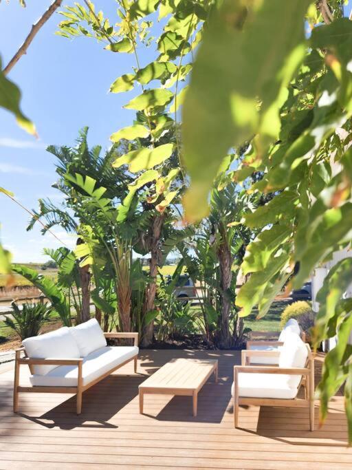 Wine Down McLaren Vale, a cosy vineyard retreat