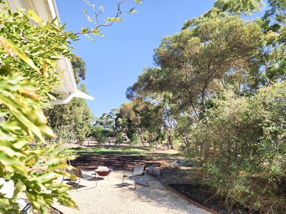 Wine Down McLaren Vale, a cosy vineyard retreat