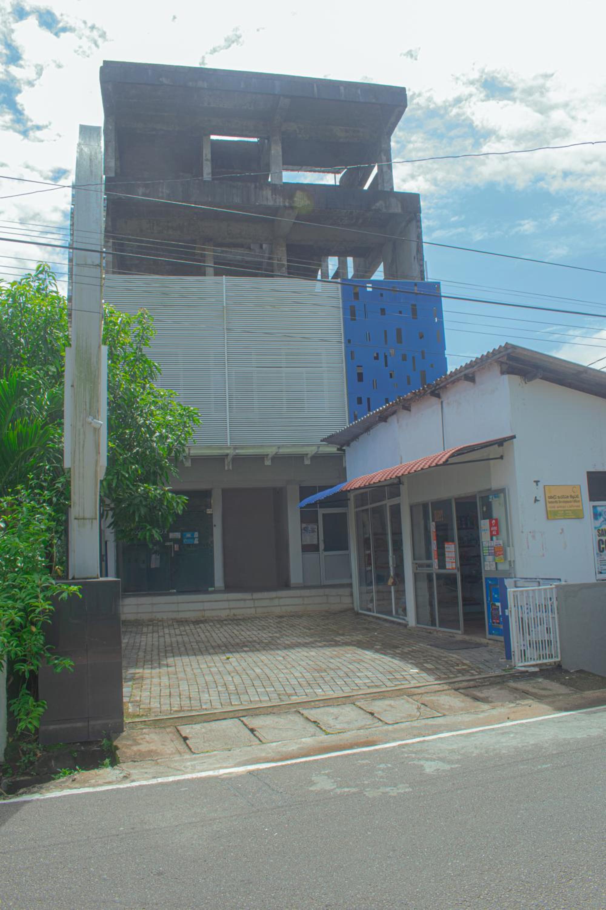 Photo 6