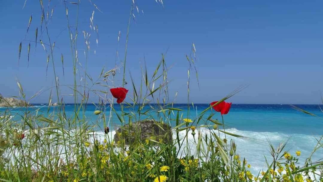 Villas Goudis
