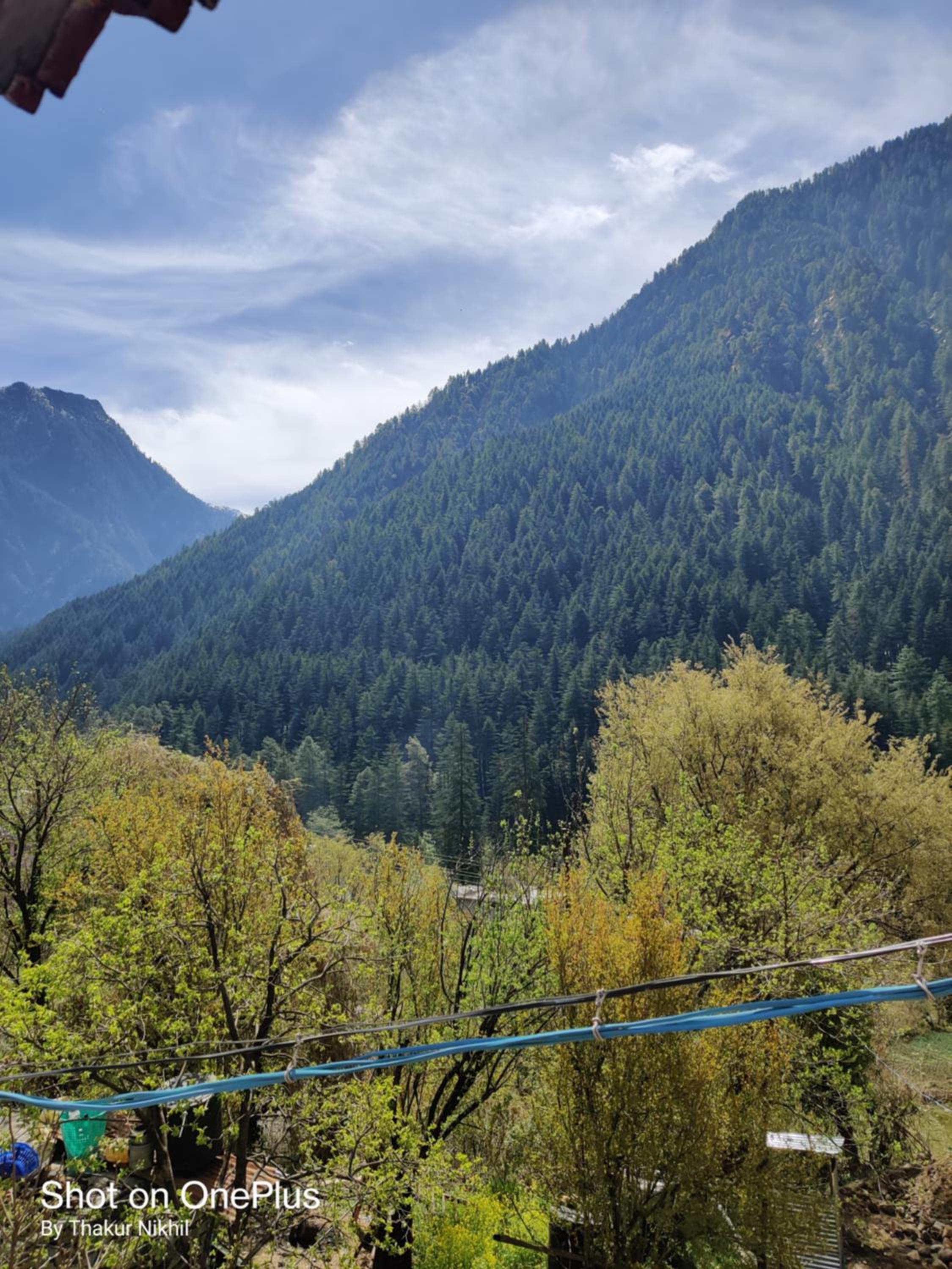 Dogra Homestay