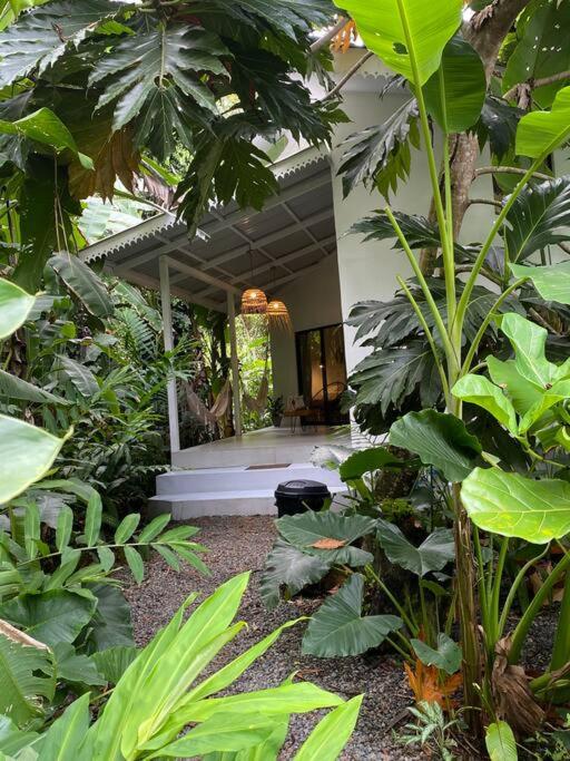 Beach House FiberOptic Air Conditioned