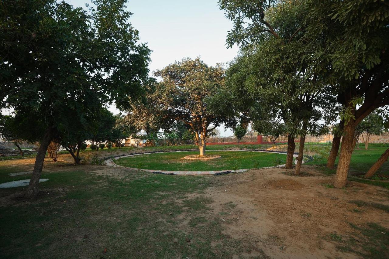 Photo 28