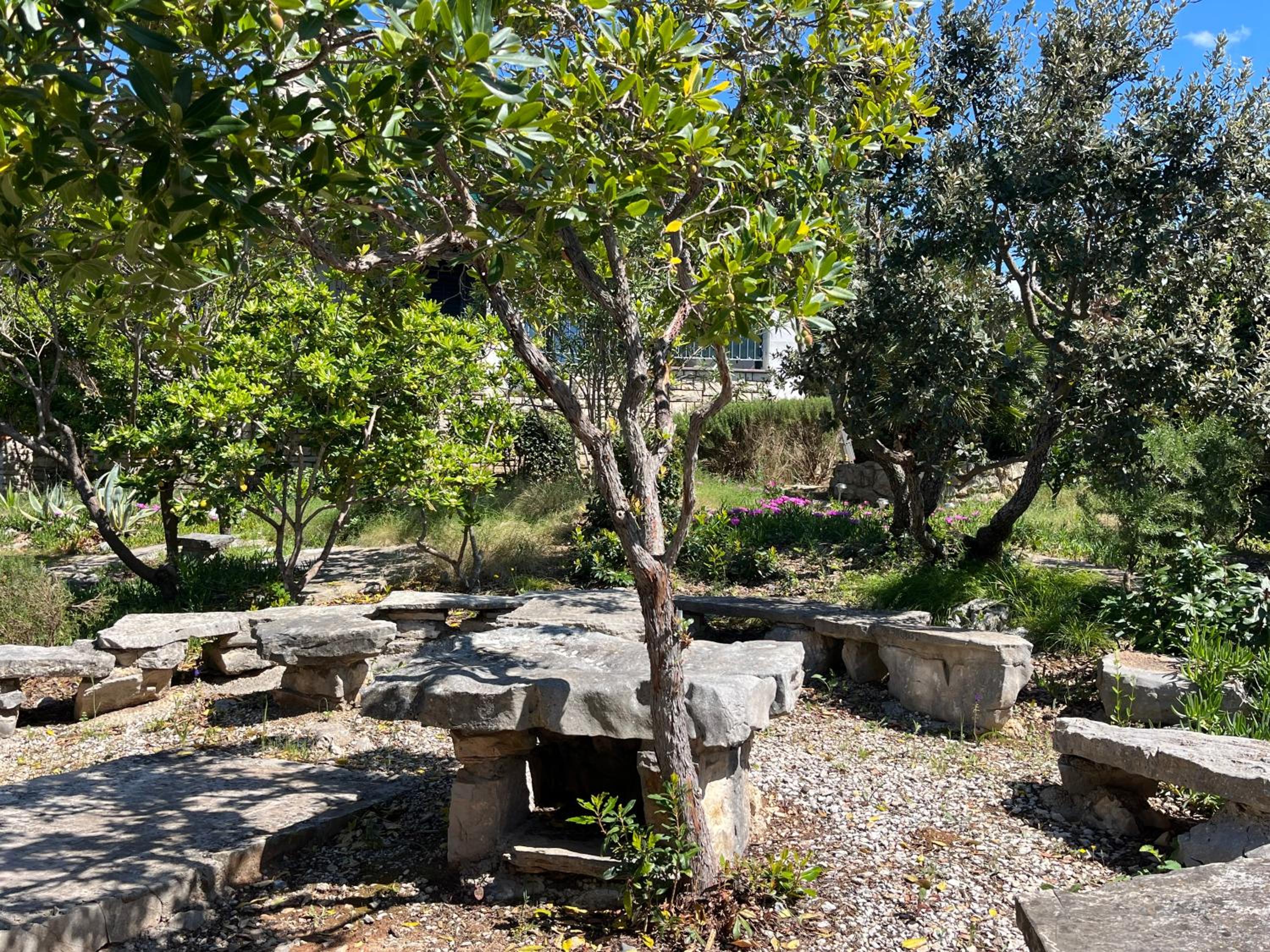 Photo 45