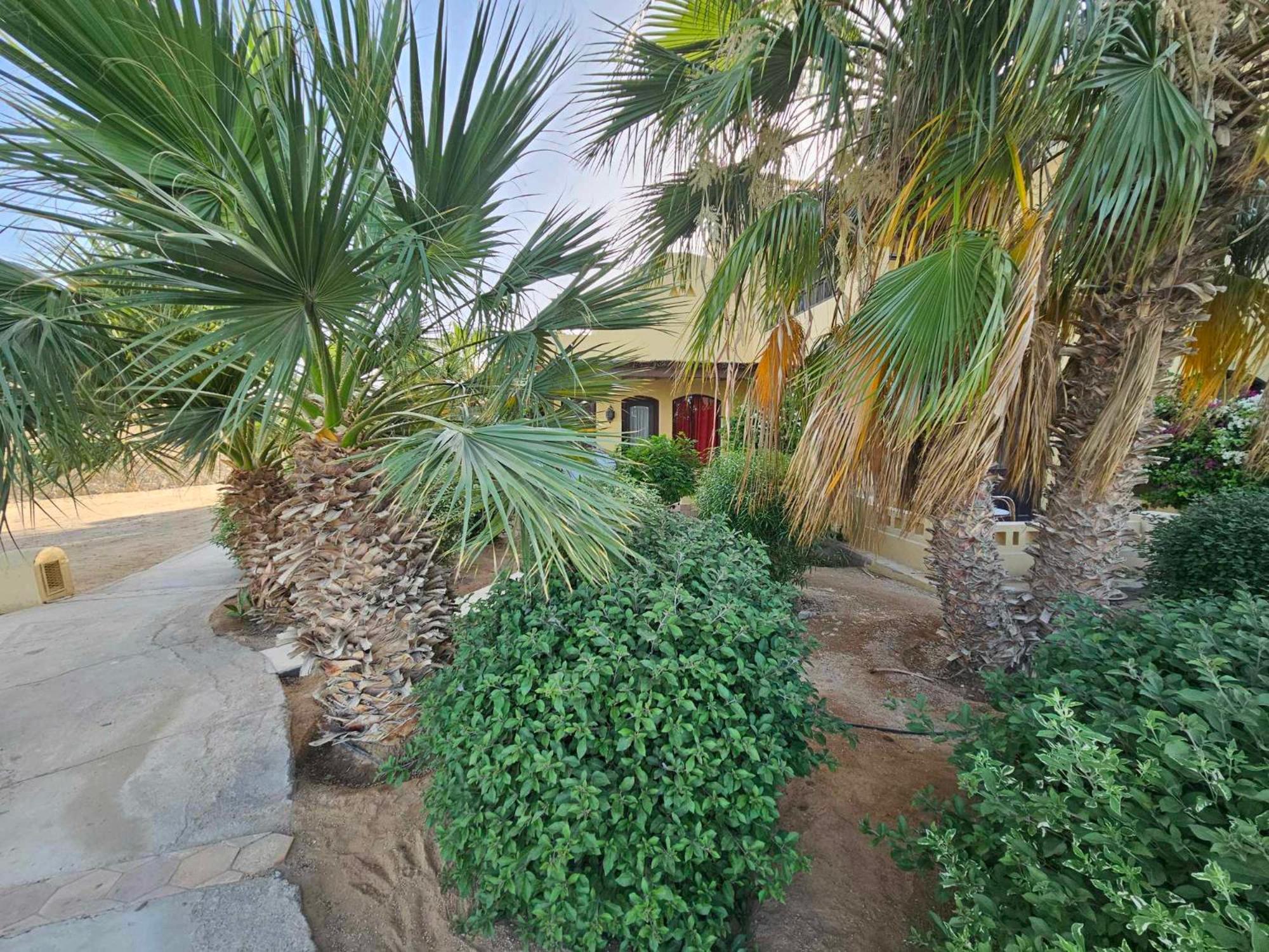 El gouna -Y1 Ground floor view 5