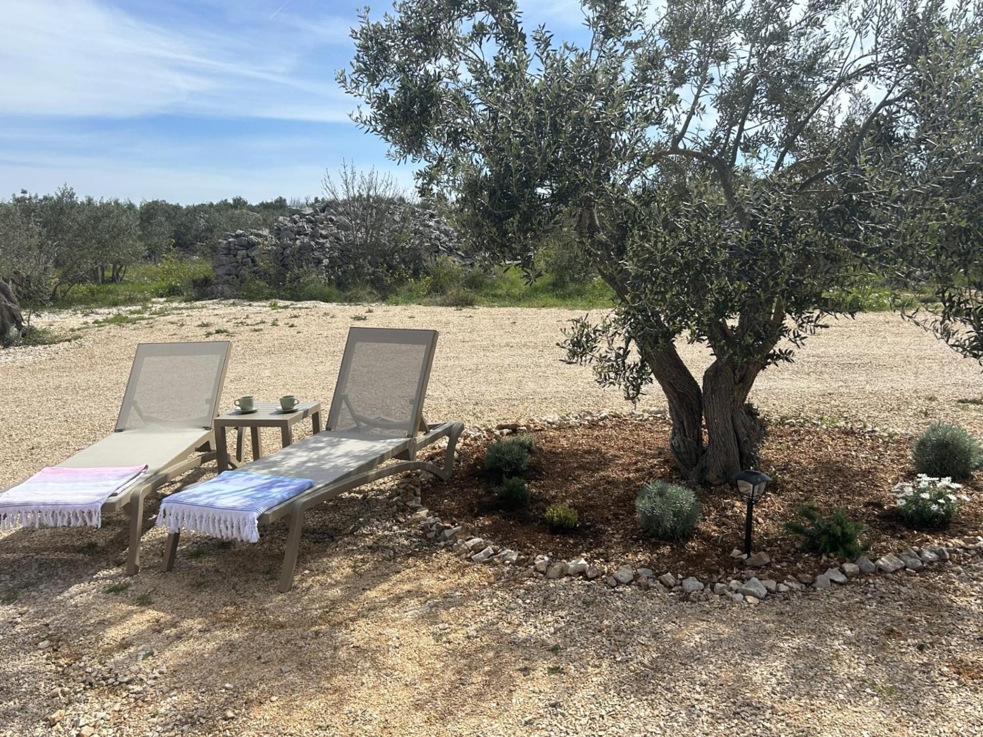 O'LIVE PREMIUM Mobile Home