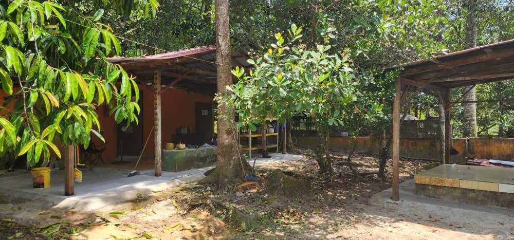 Campsite House In a Farm photo 2