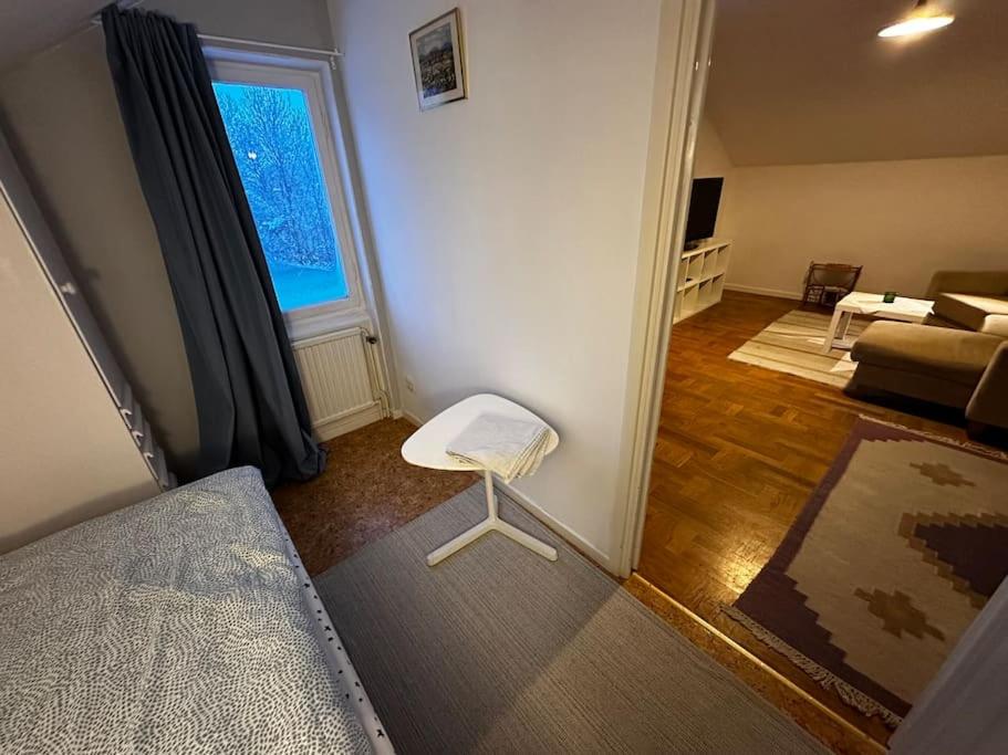 Mysig Takvåning med takfönster