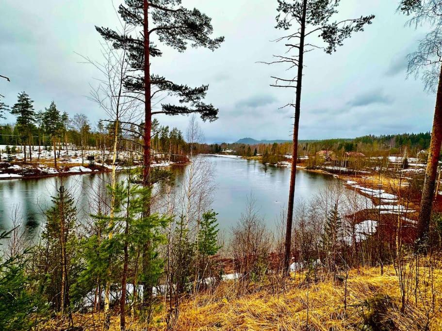 Mysig Takvåning med takfönster